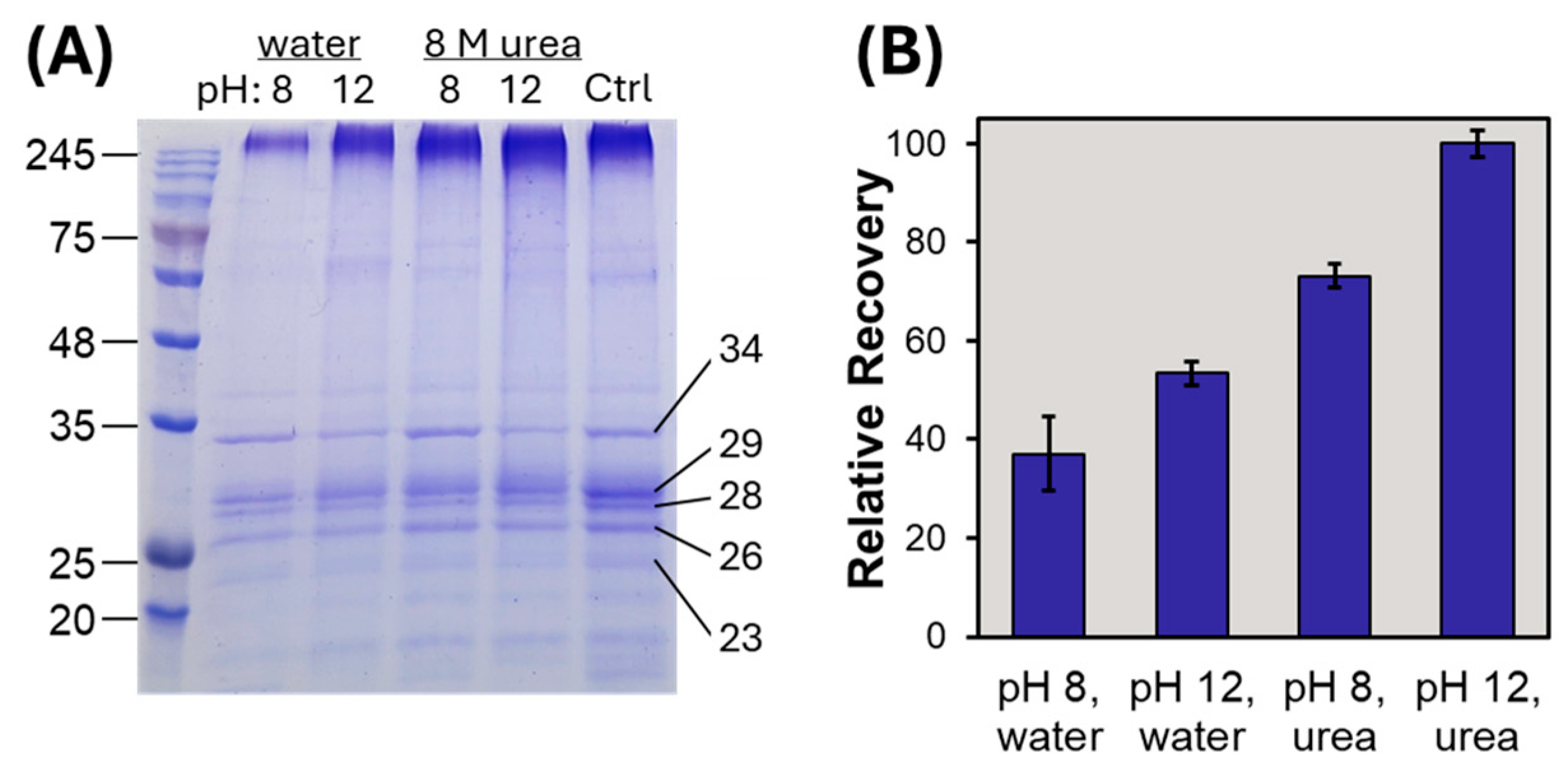 Proteomes 13 00030 g005