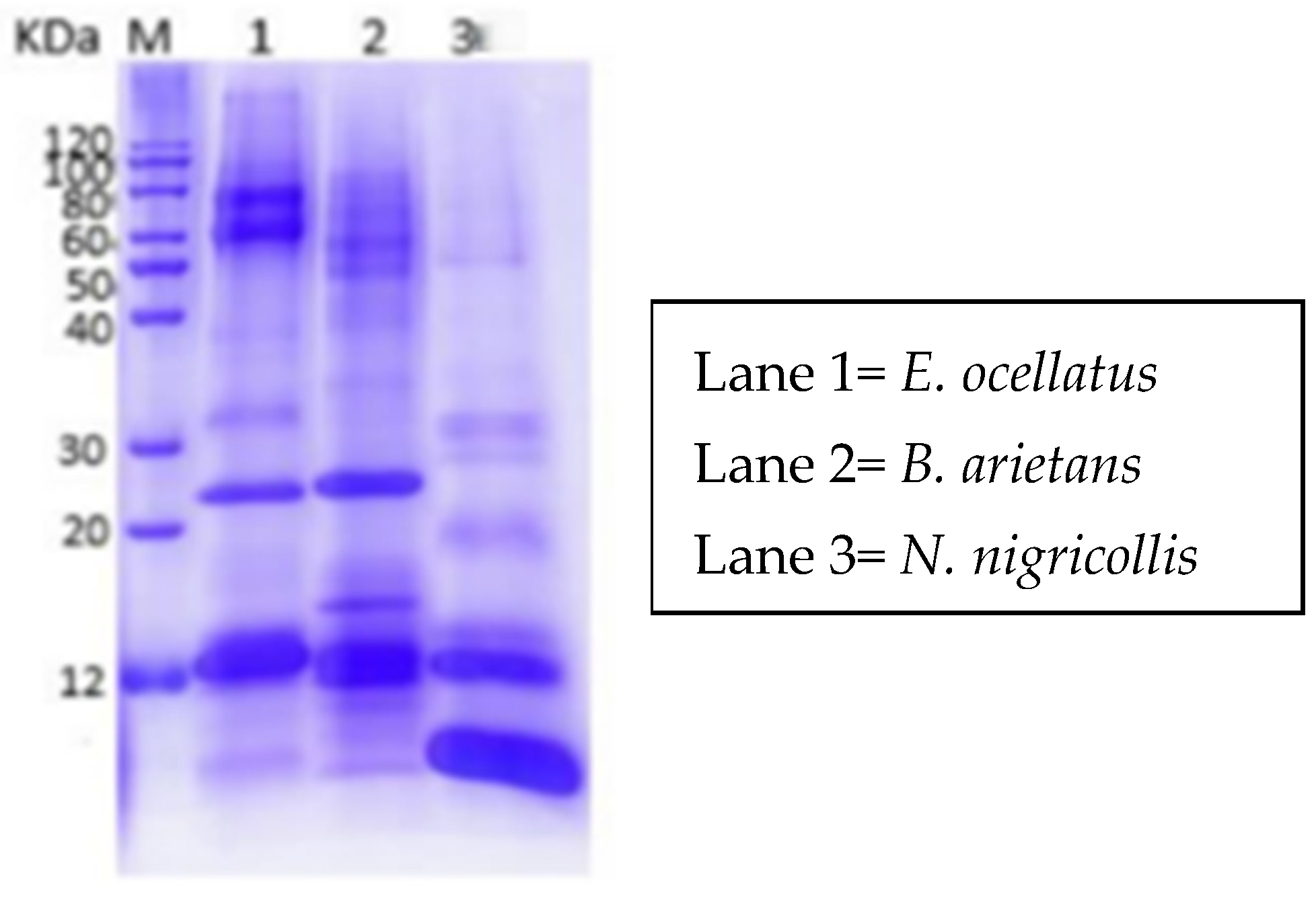 Proteomes 13 00031 g002