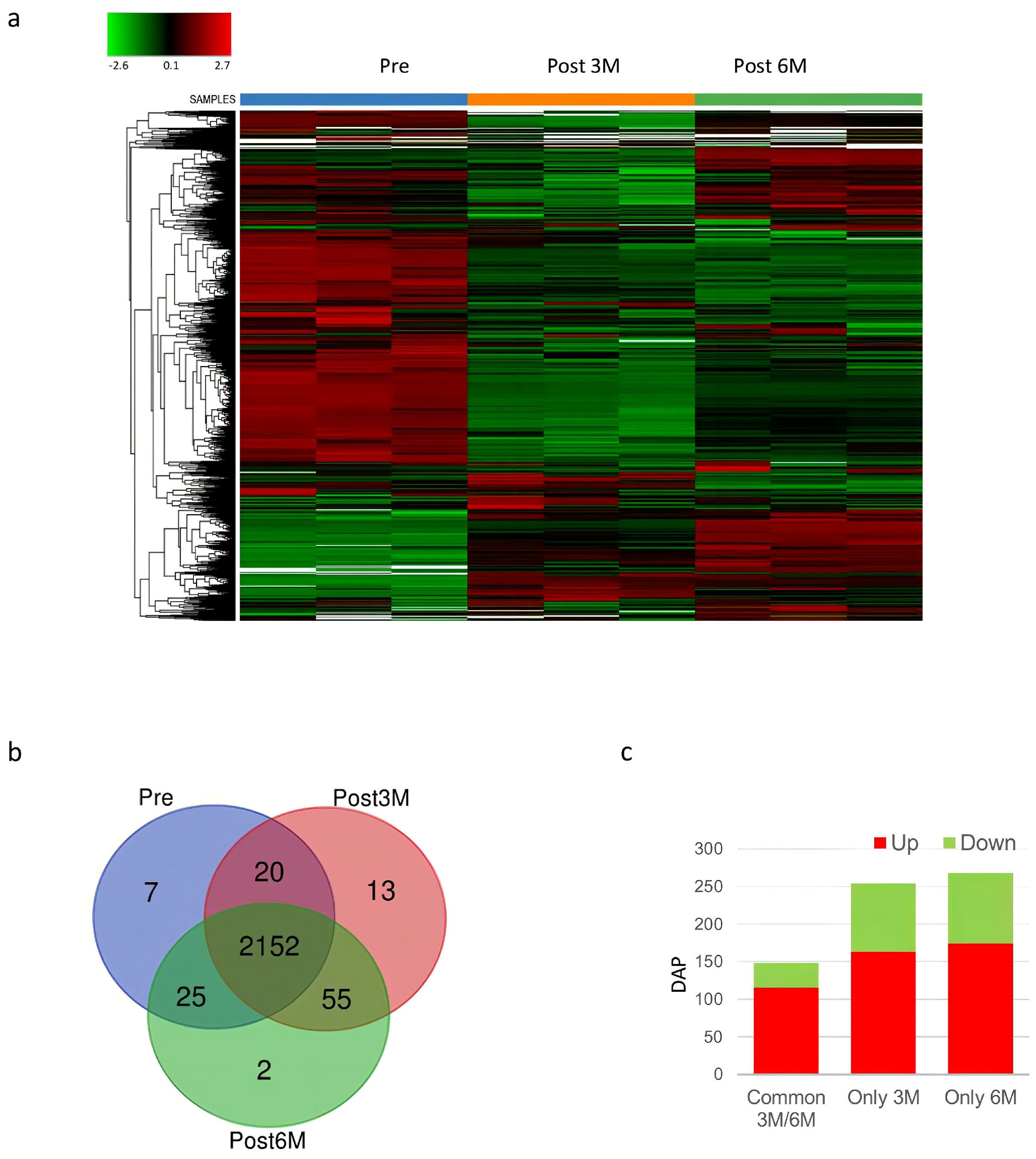 Proteomes 13 00034 g002