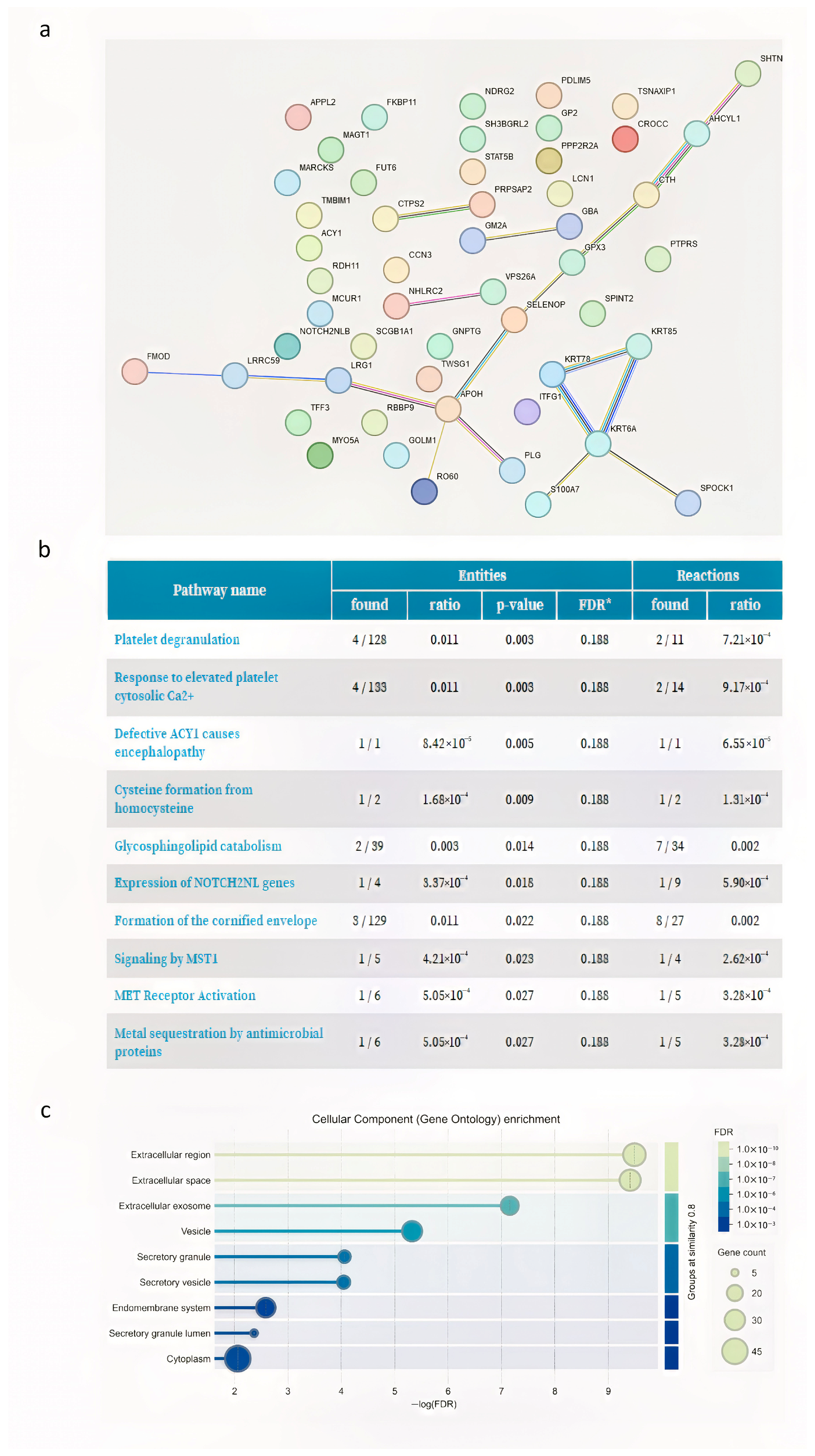 Proteomes 13 00034 g003