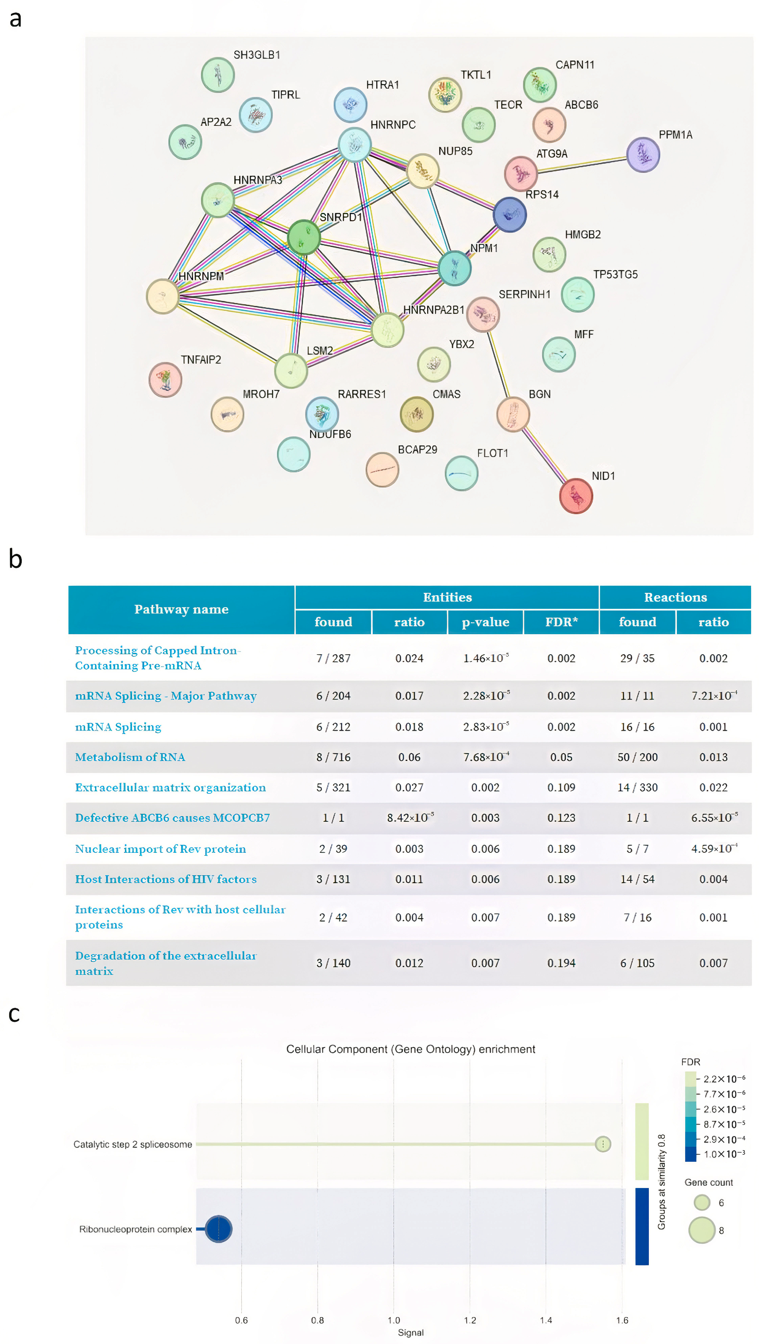 Proteomes 13 00034 g005