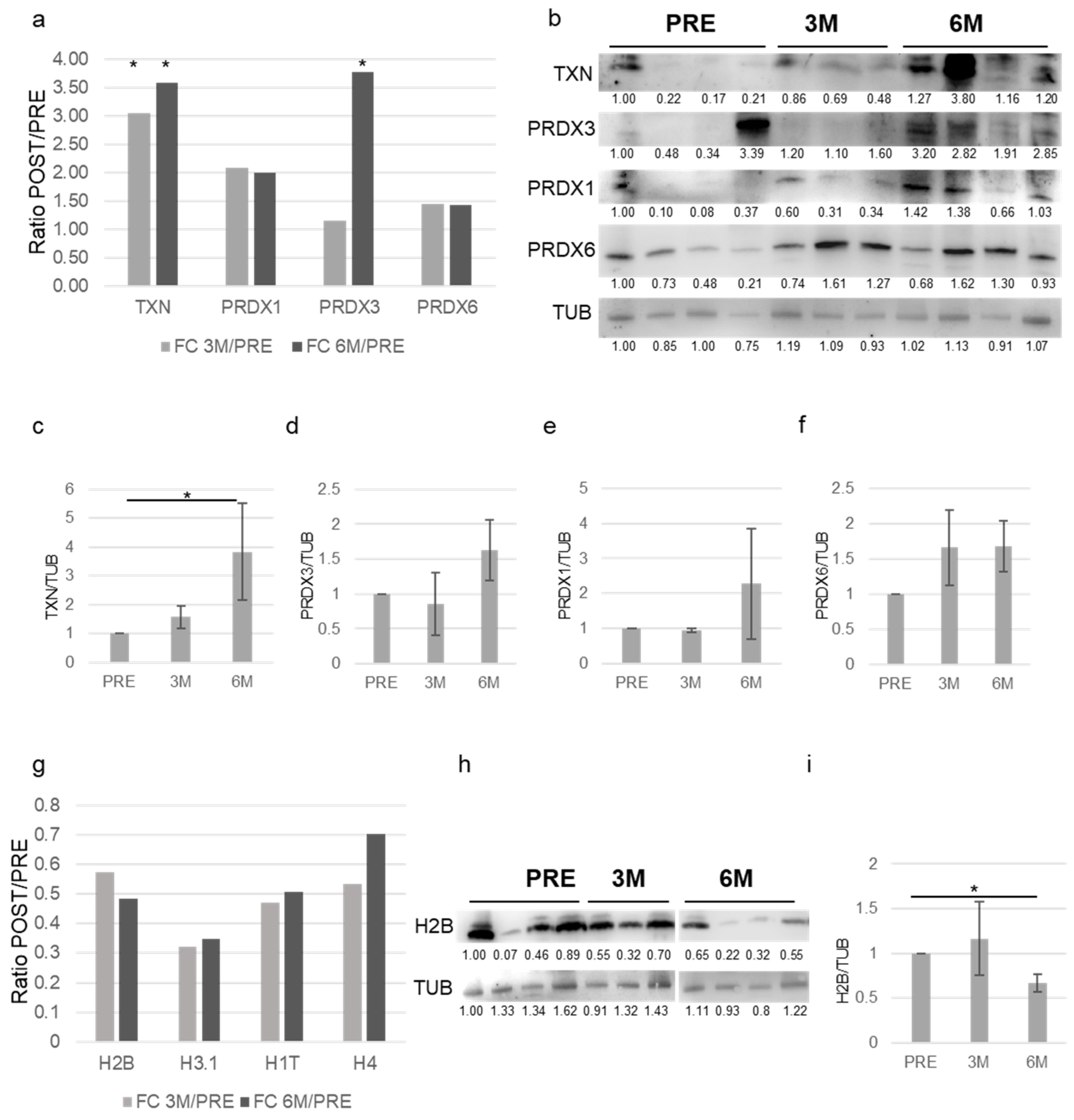 Proteomes 13 00034 g006