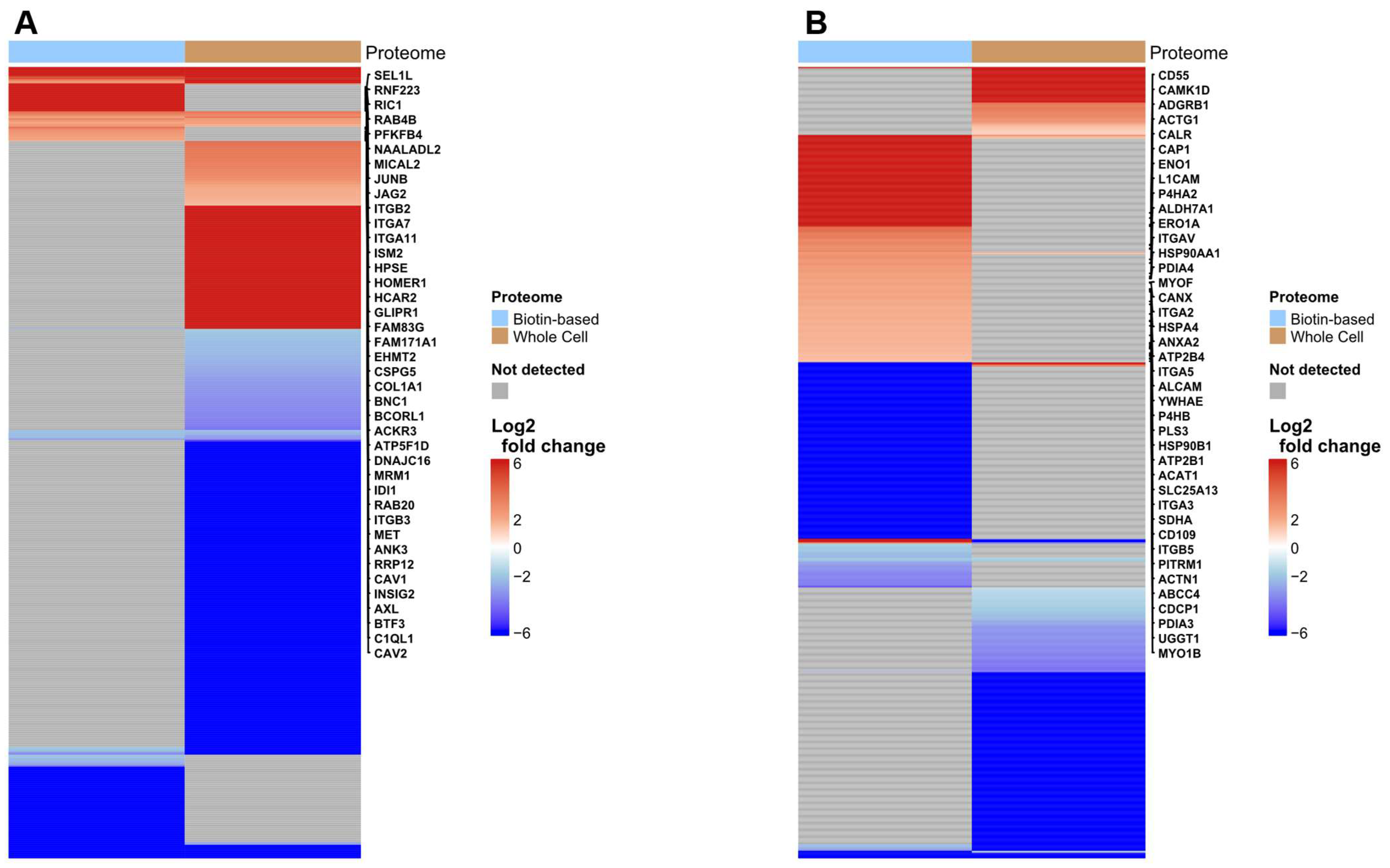Proteomes 13 00036 g002
