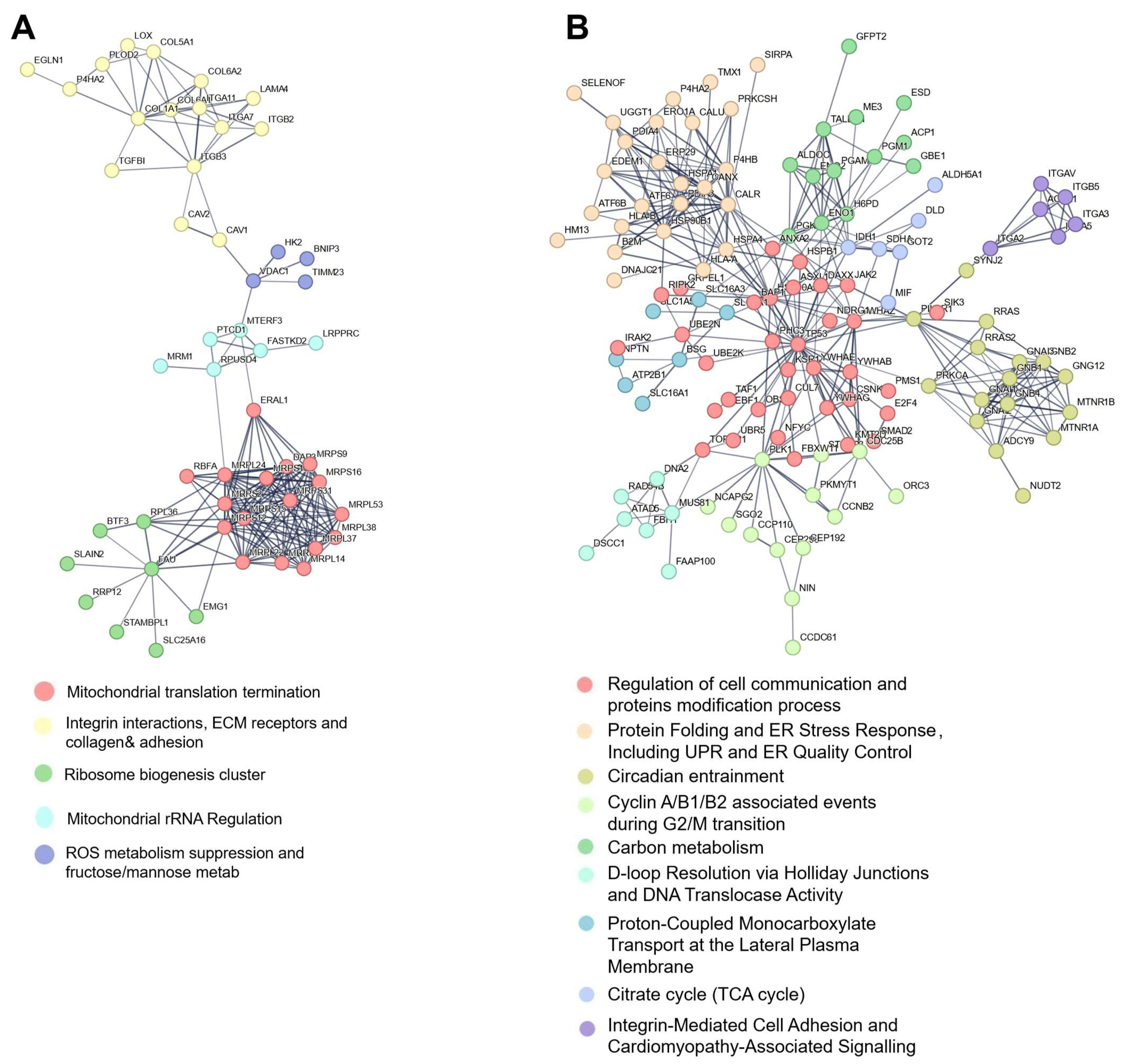 Proteomes 13 00036 g005