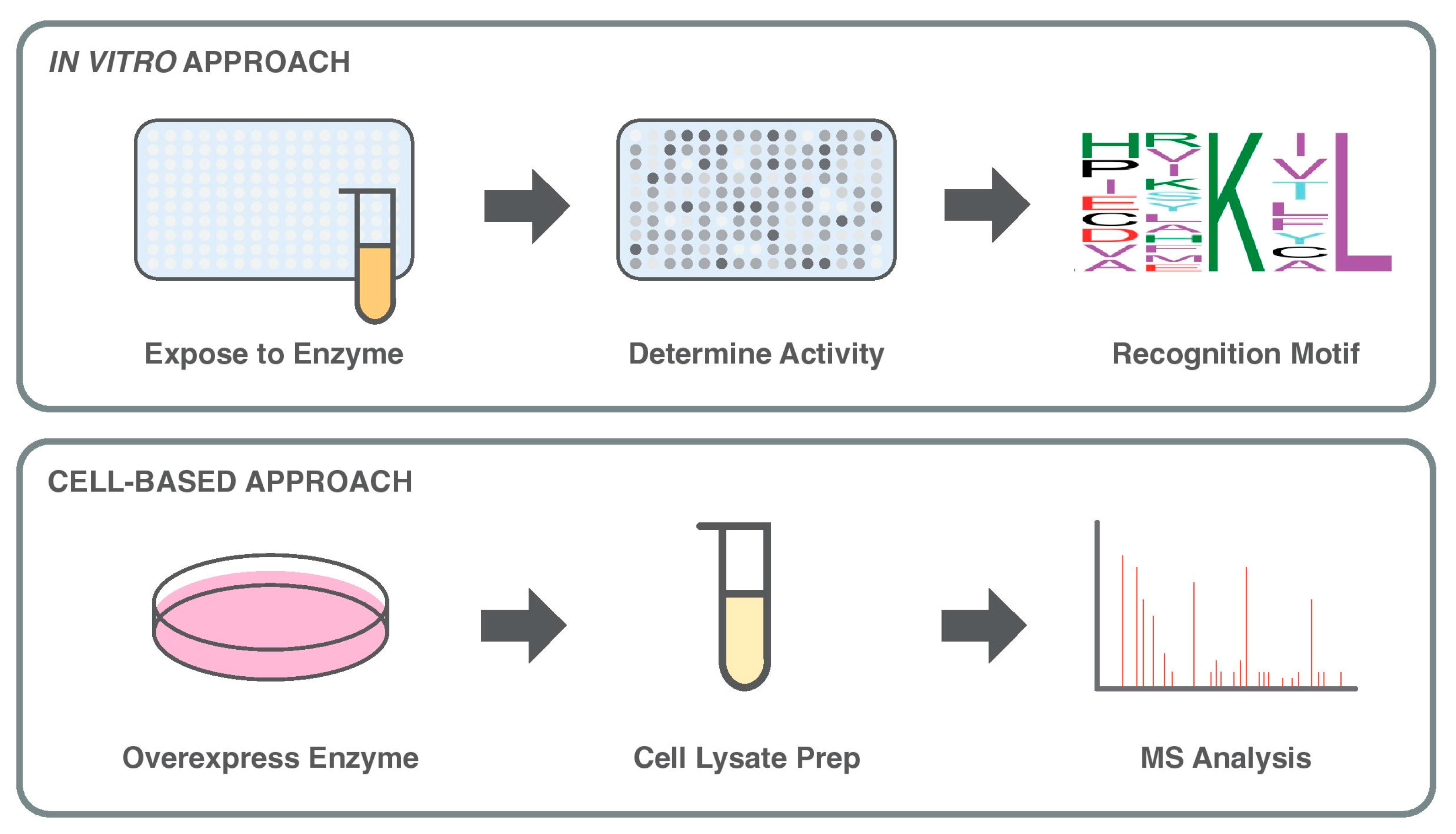 Proteomes 13 00037 g003