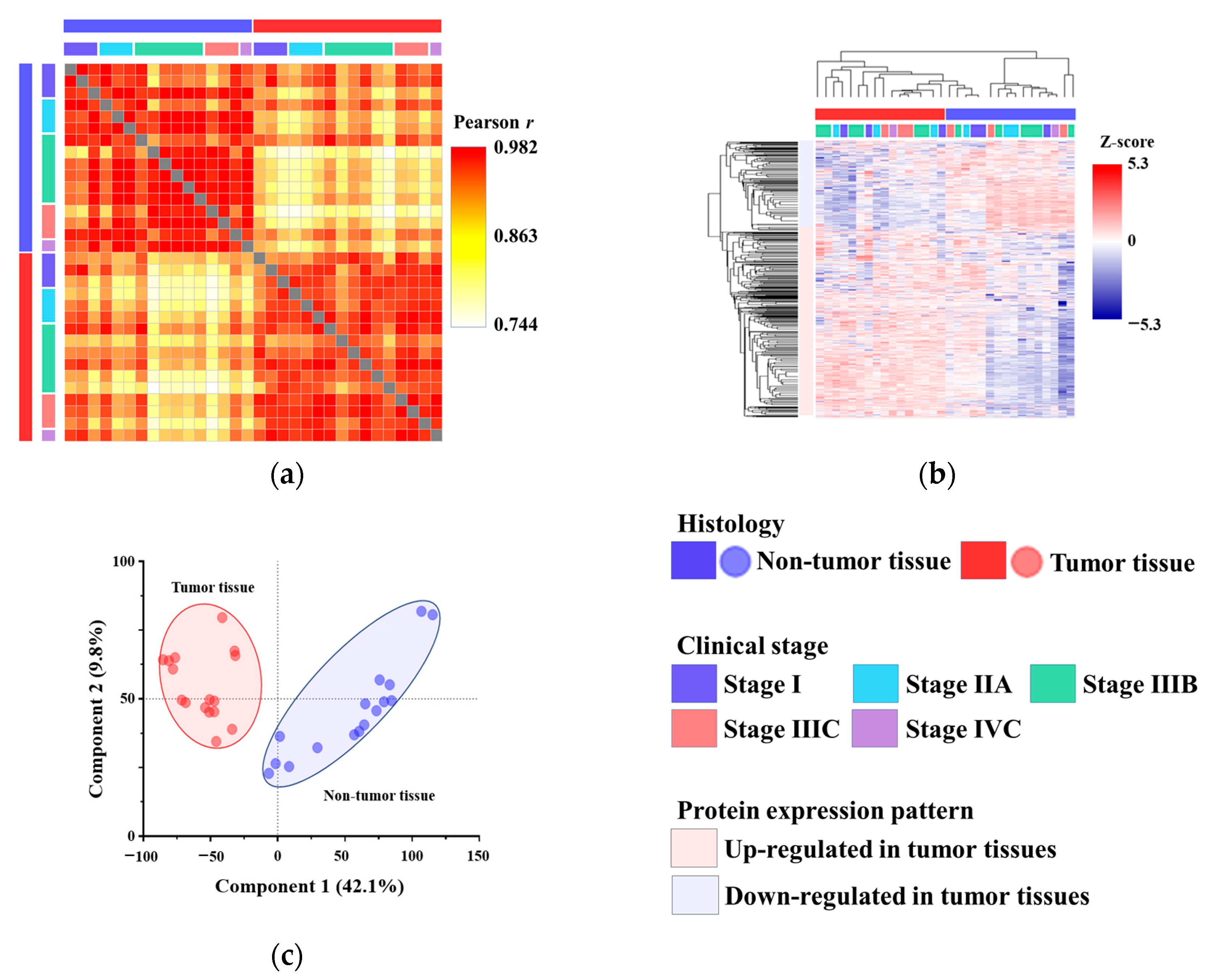 Proteomes 13 00038 g001