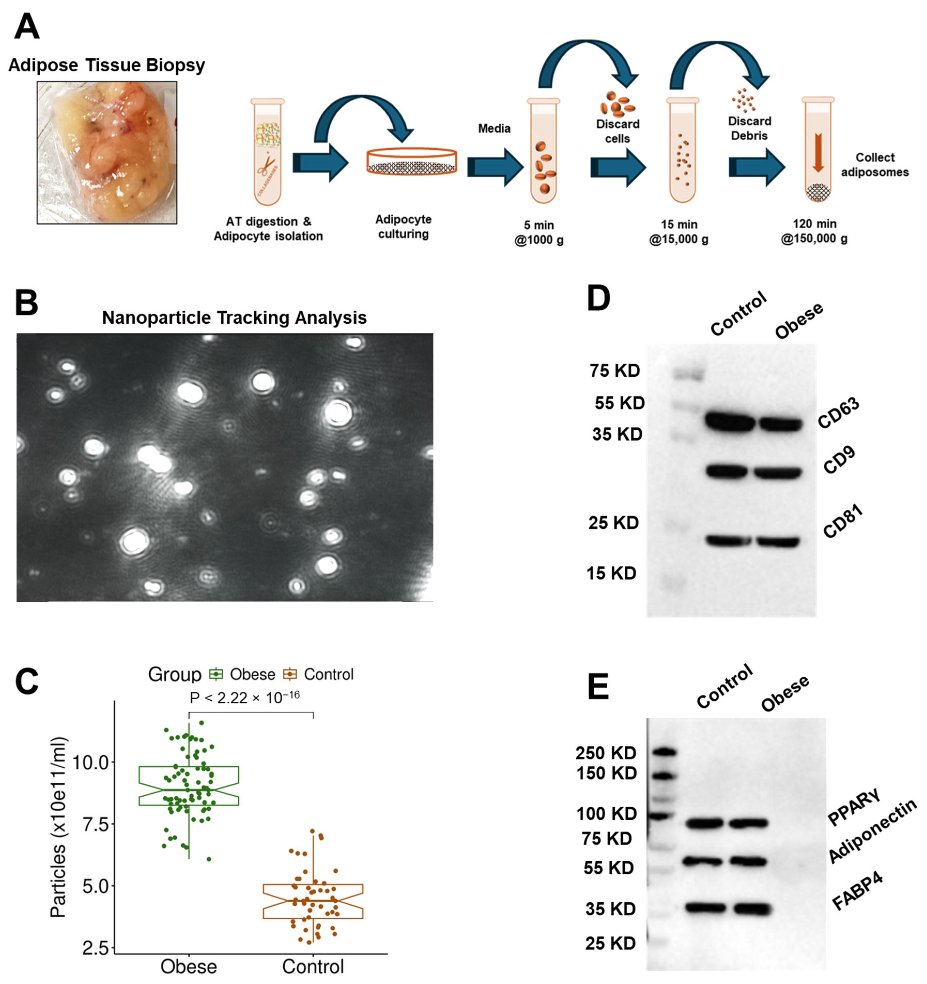 Proteomes 13 00039 g001