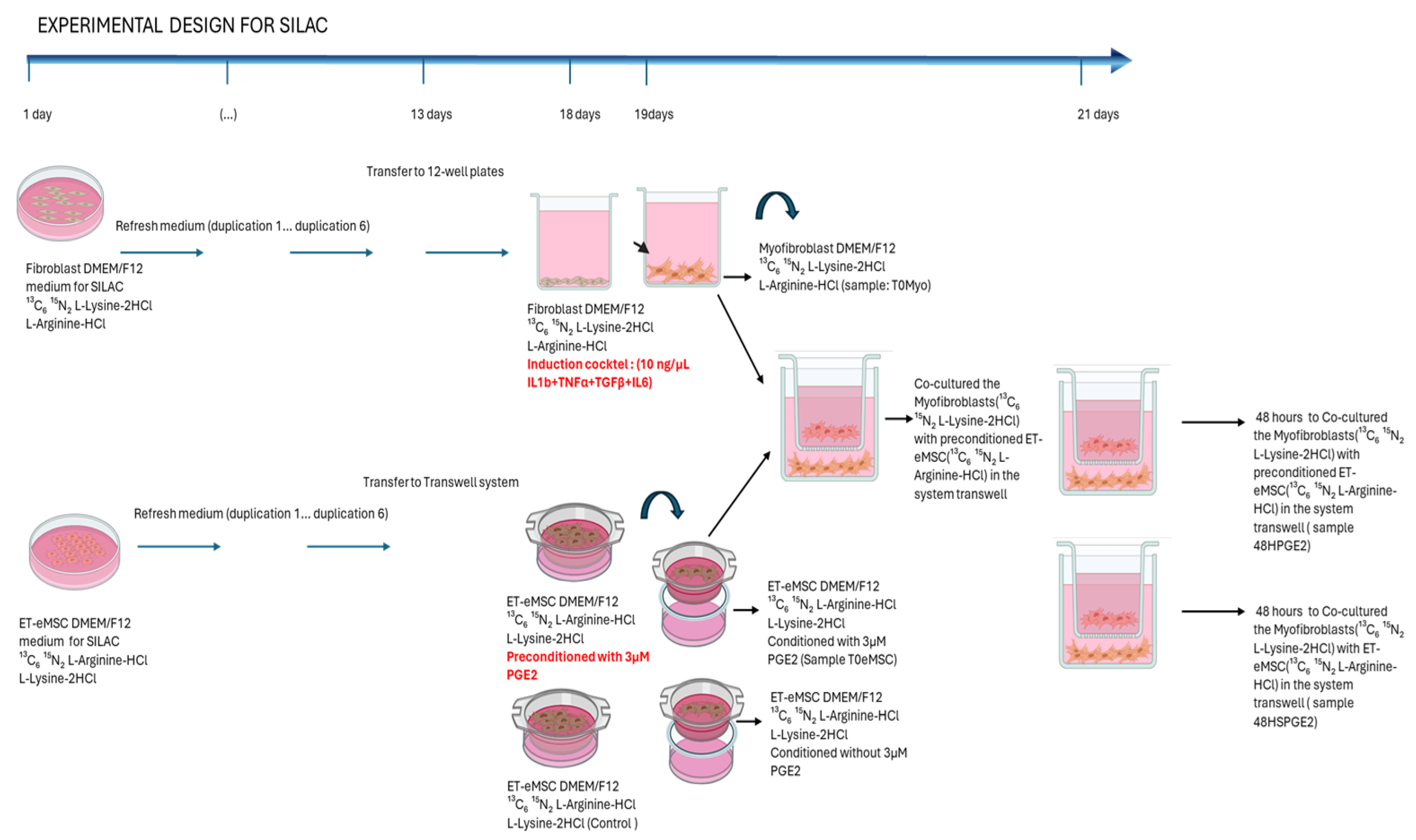 Proteomes 13 00041 g002