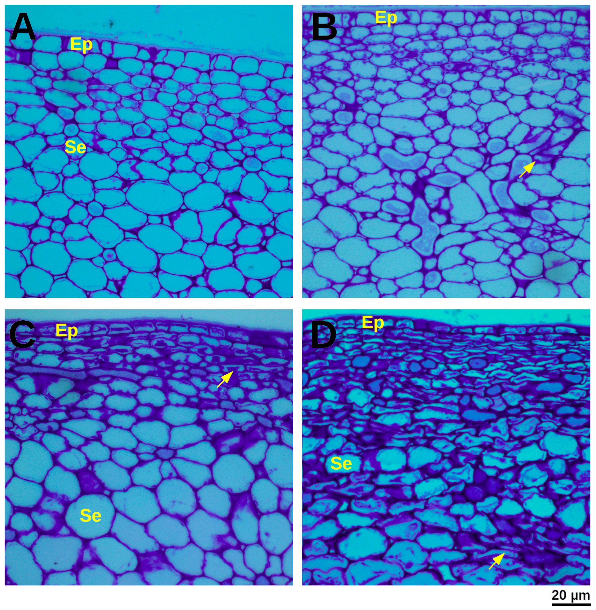 Proteomes 13 00044 g002