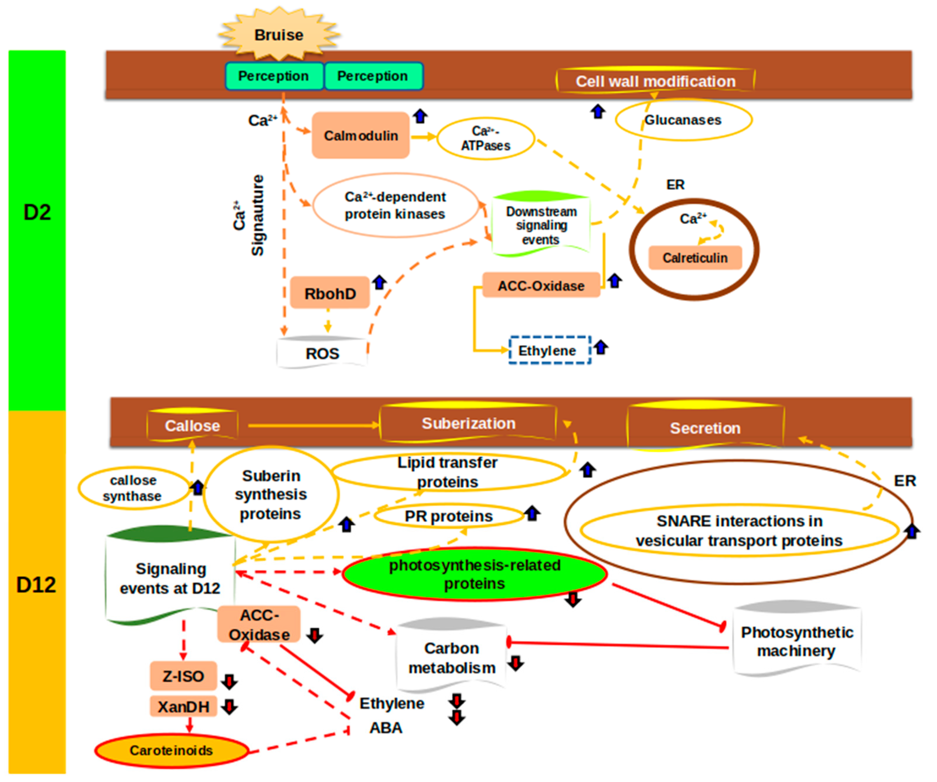 Proteomes 13 00044 g007