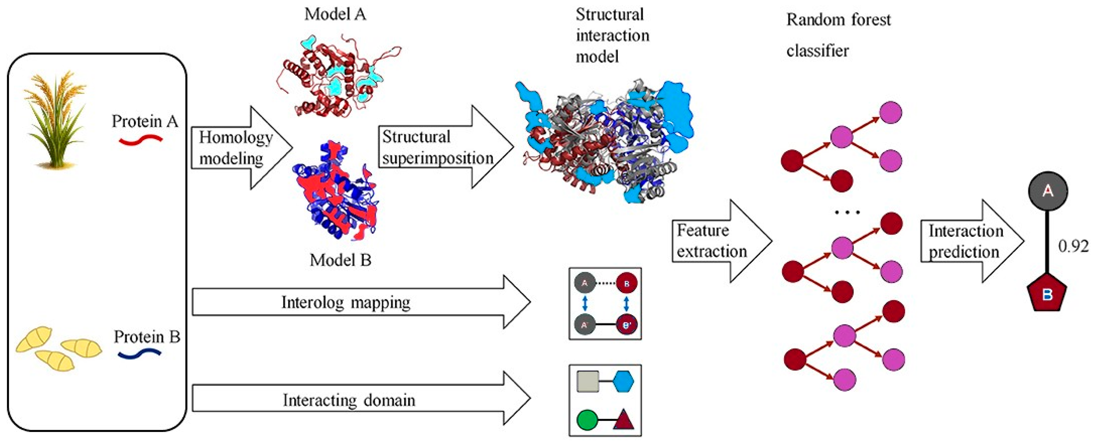 Proteomes 13 00054 g001