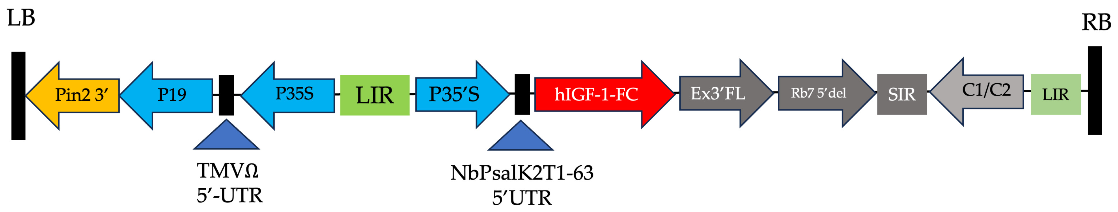 Proteomes 13 00059 g001 Proteomes 13 00059 g001
