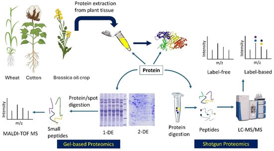 Proteomes 13 00060 g001