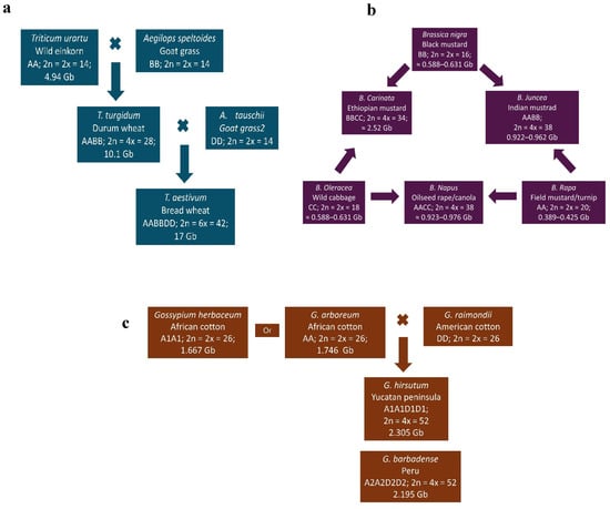 Proteomes 13 00060 g002