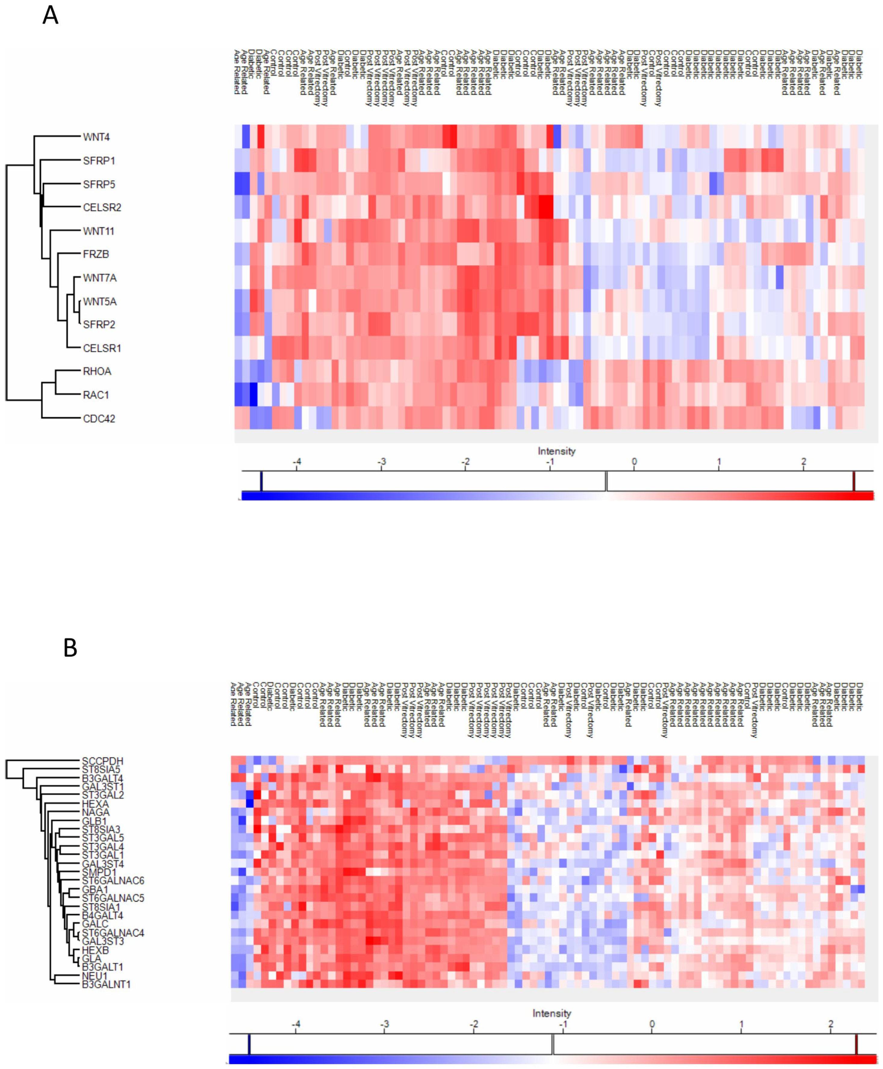 Proteomes 13 00062 g005