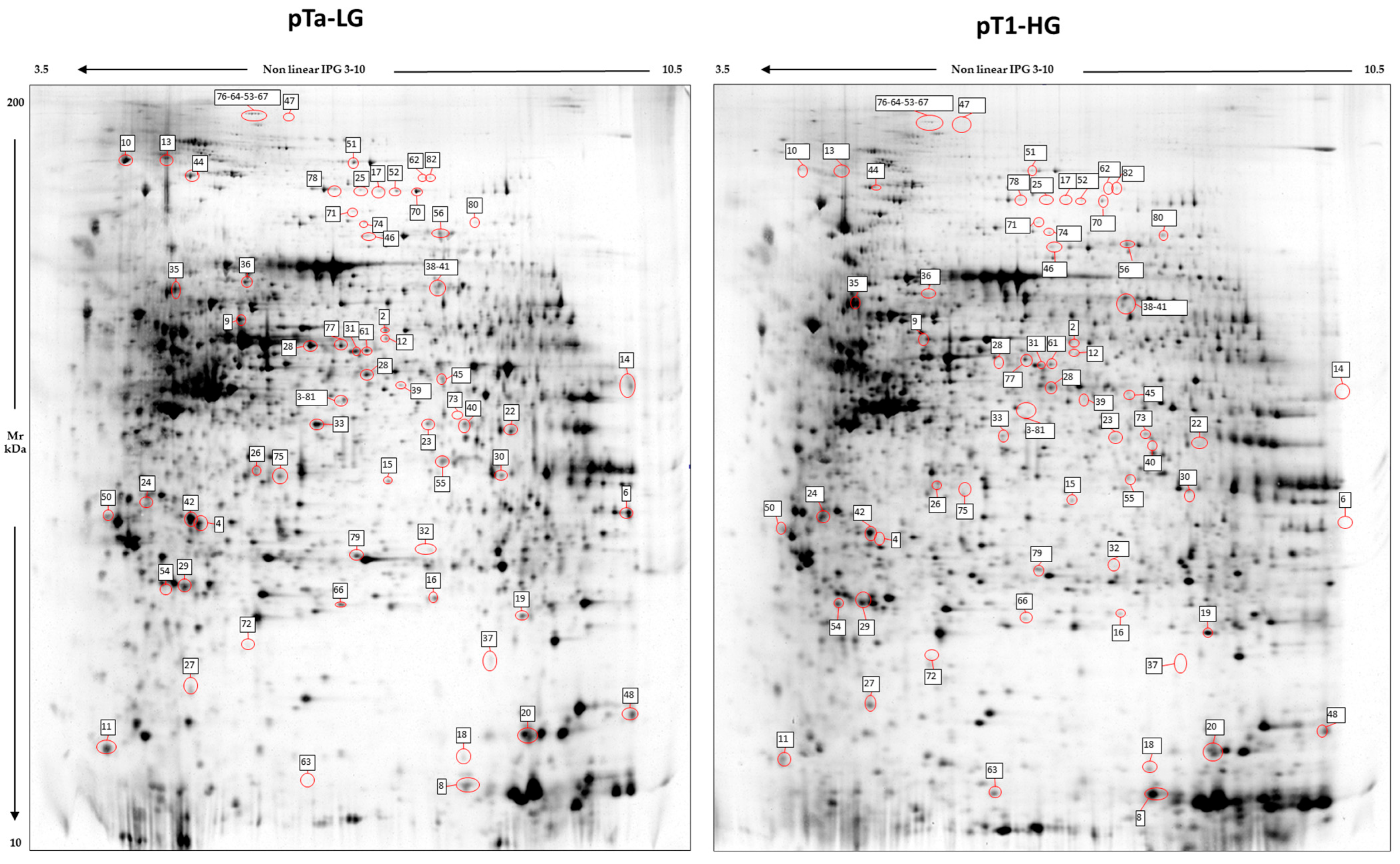Proteomes 13 00065 g002 Proteomes 13 00065 g002