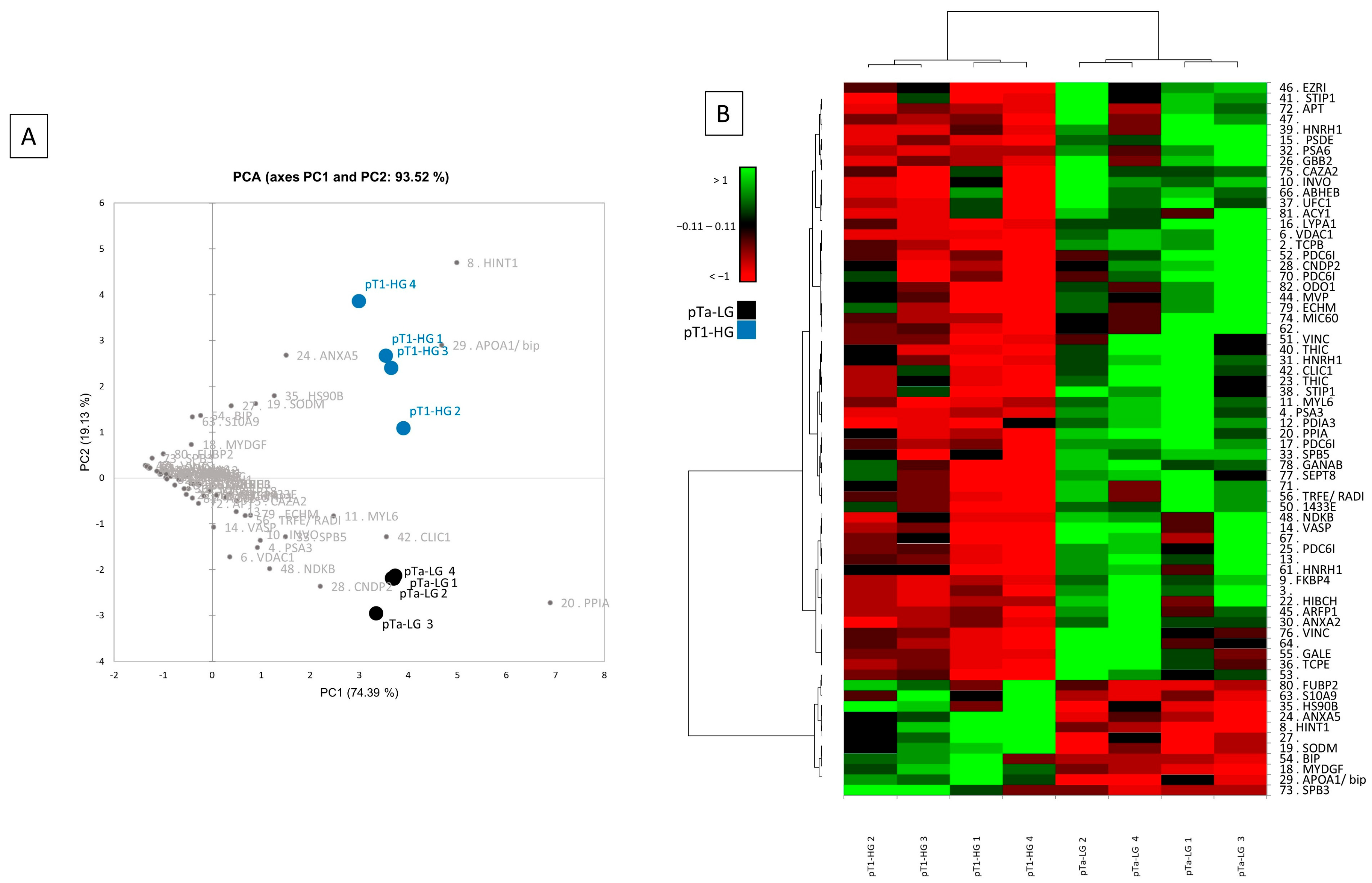 Proteomes 13 00065 g003 Proteomes 13 00065 g003