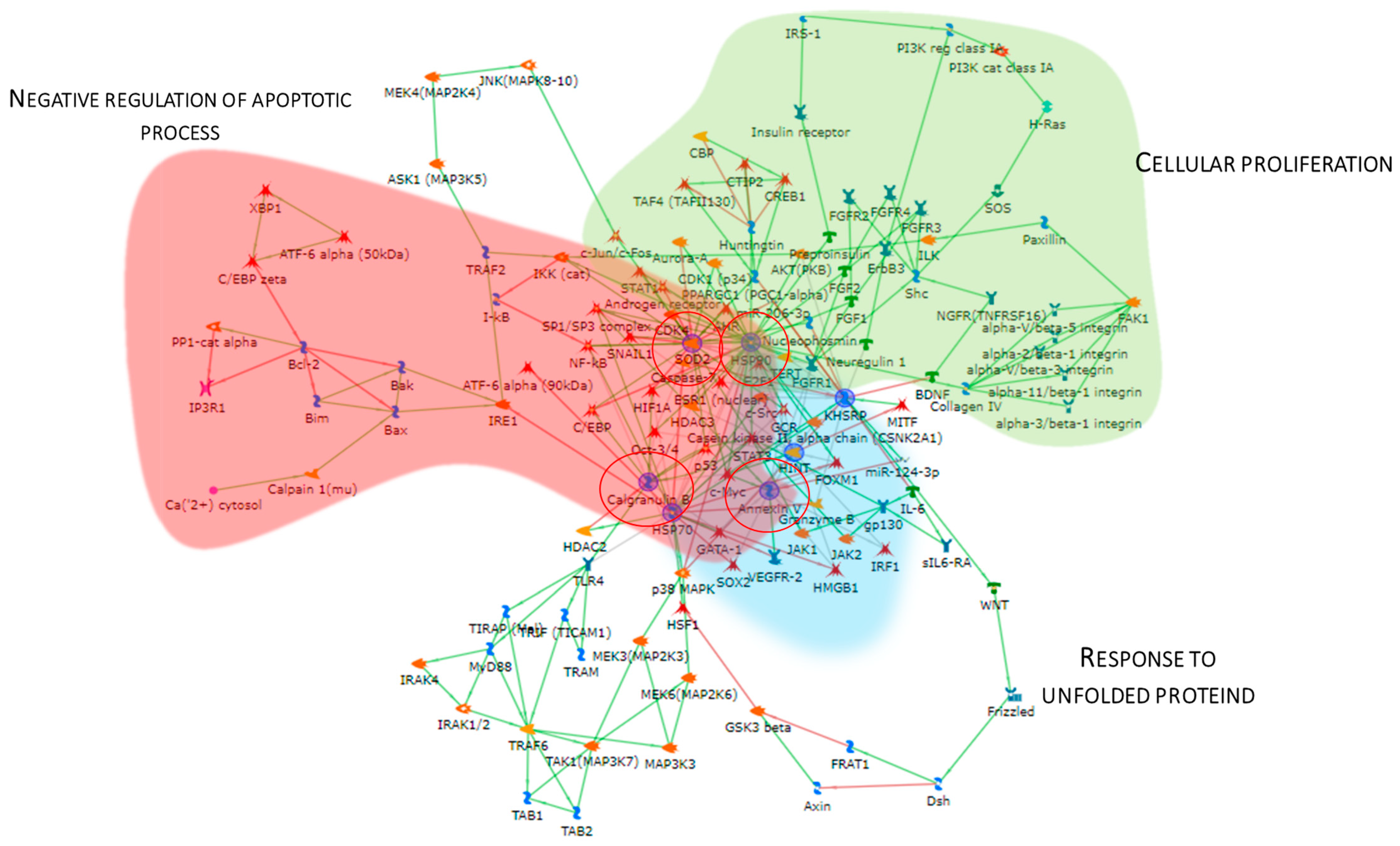 Proteomes 13 00065 g005 Proteomes 13 00065 g005