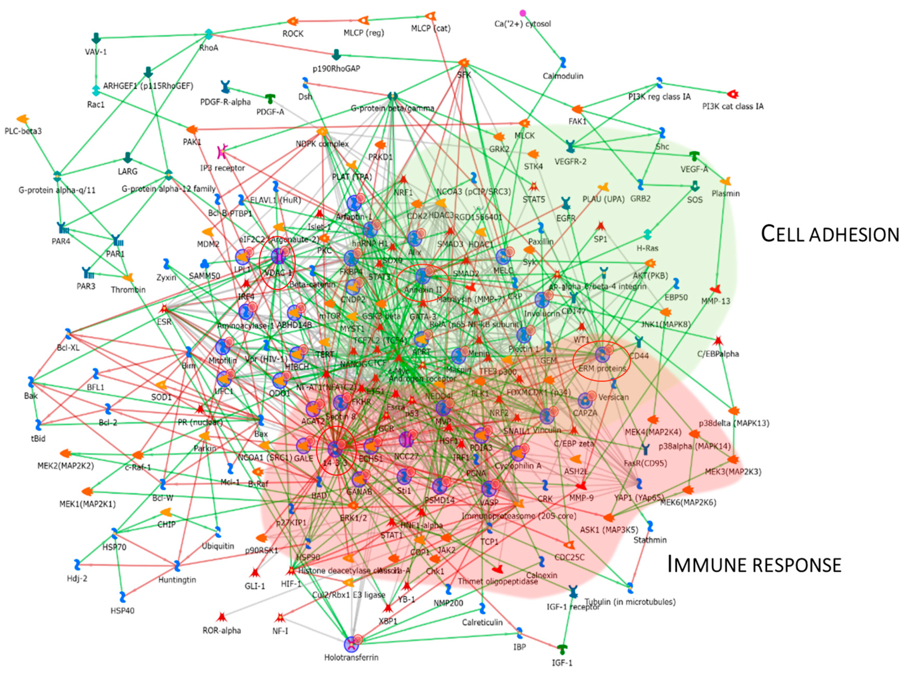 Proteomes 13 00065 g007 Proteomes 13 00065 g007