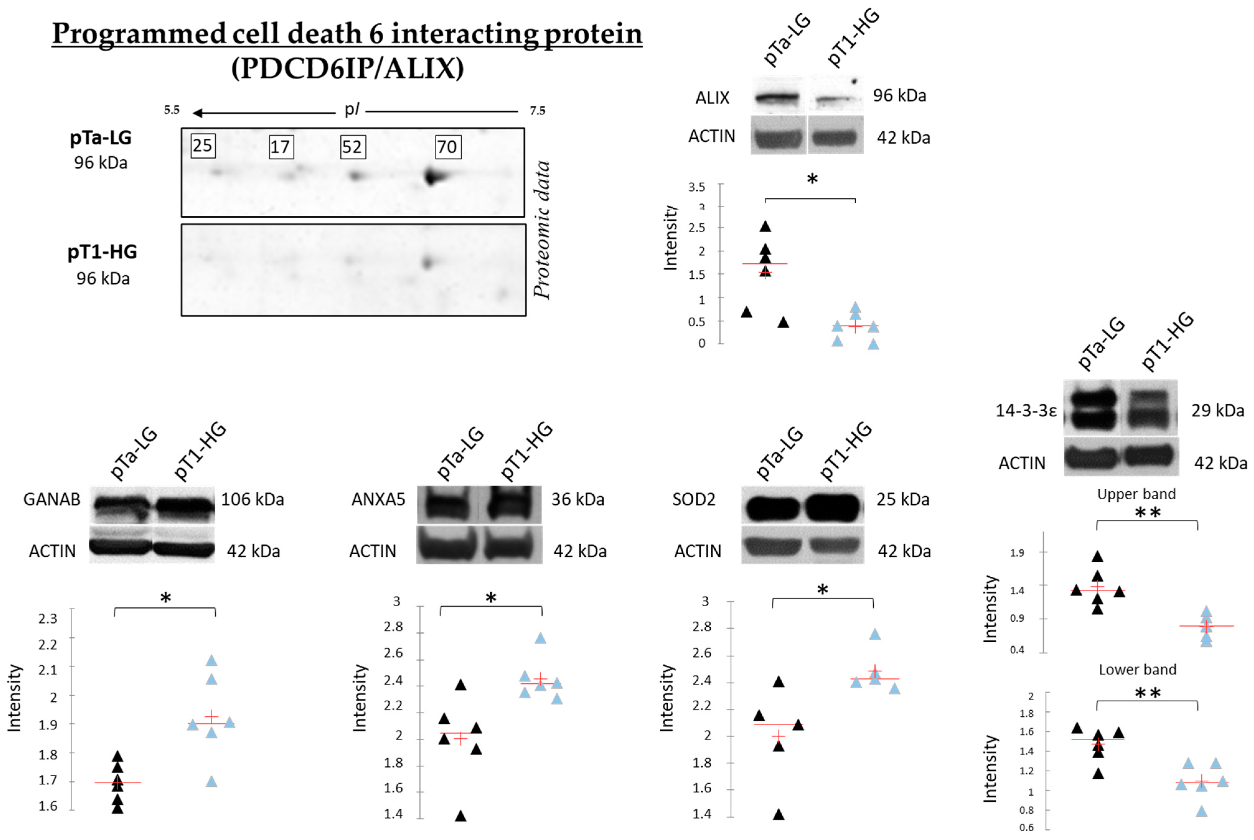 Proteomes 13 00065 g009 Proteomes 13 00065 g009