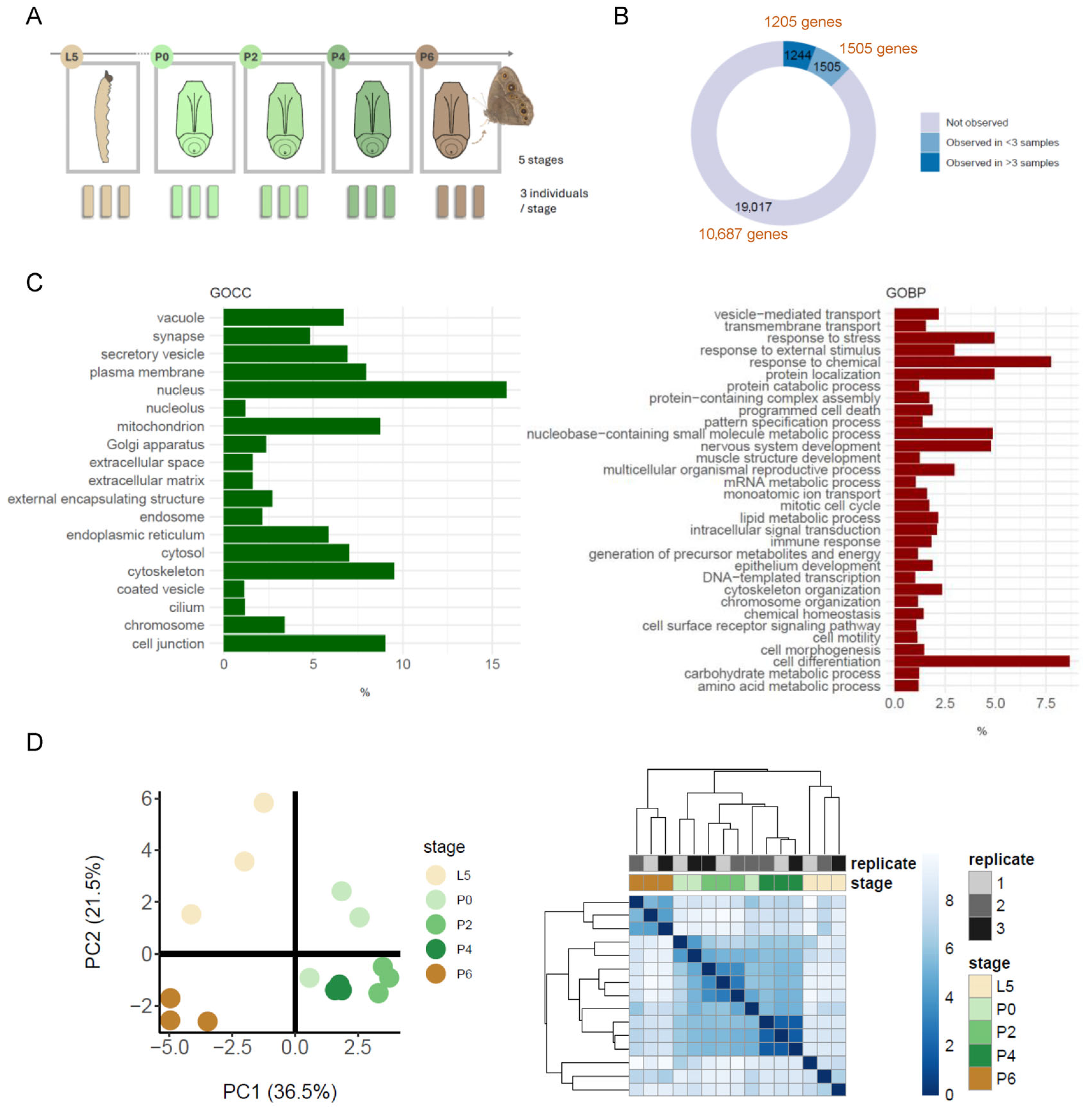 Proteomes 13 00068 g001