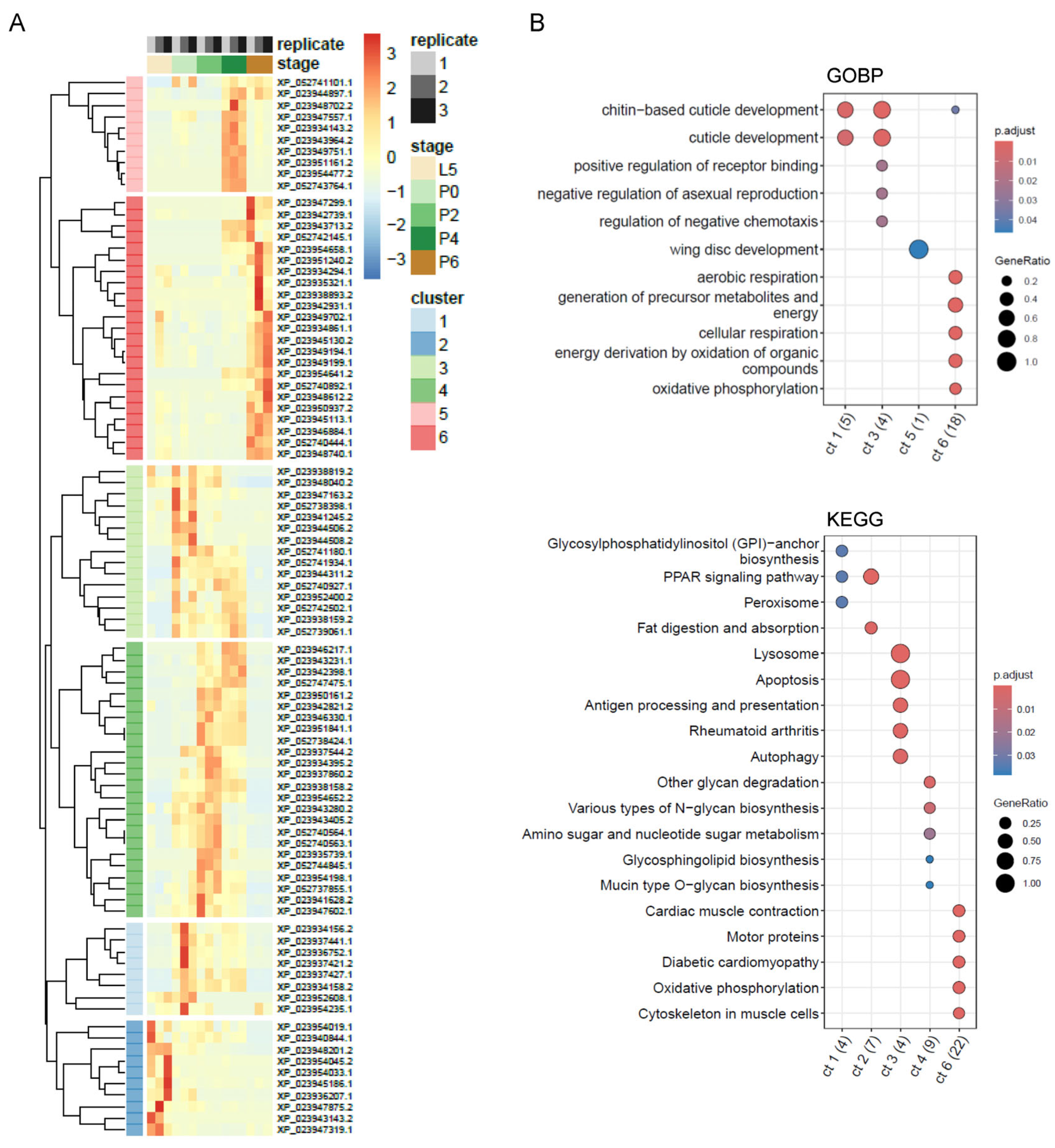 Proteomes 13 00068 g002