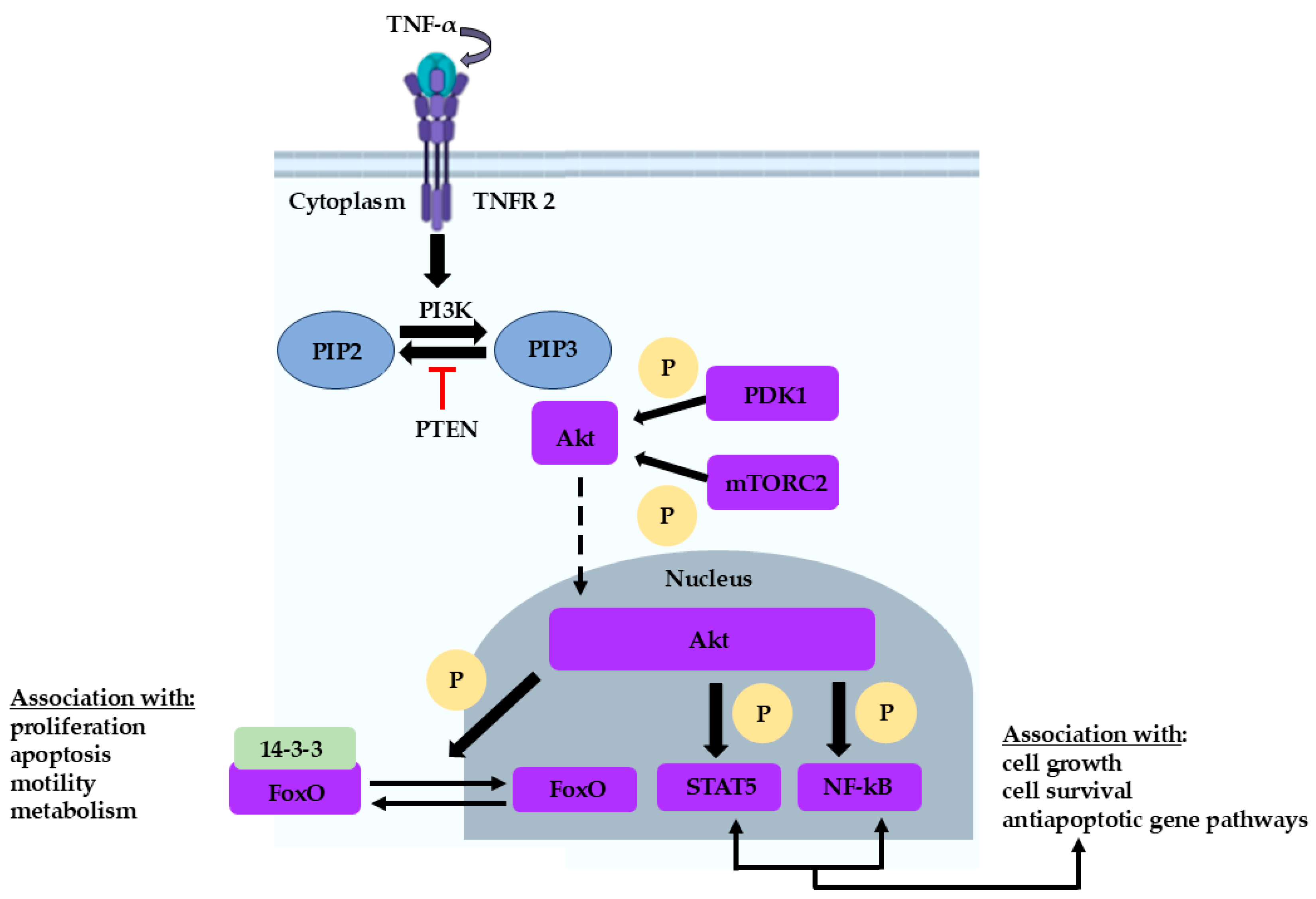Proteomes 14 00012 g001 Proteomes 14 00012 g001