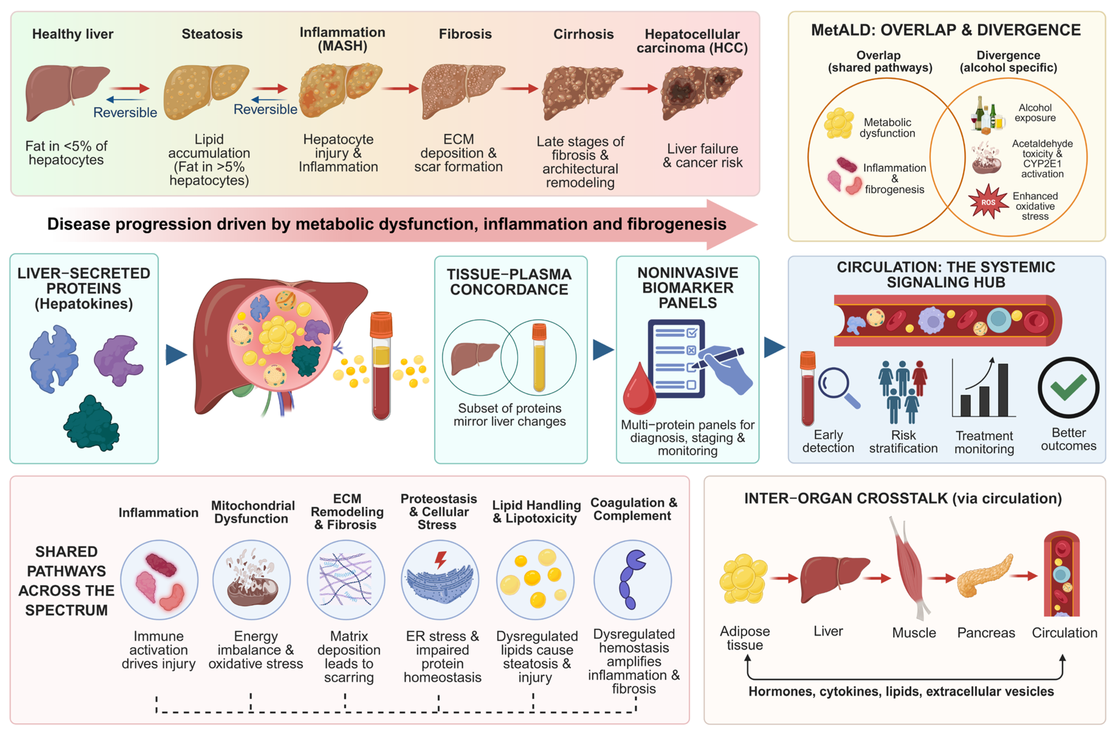 Proteomes 14 00049 g001