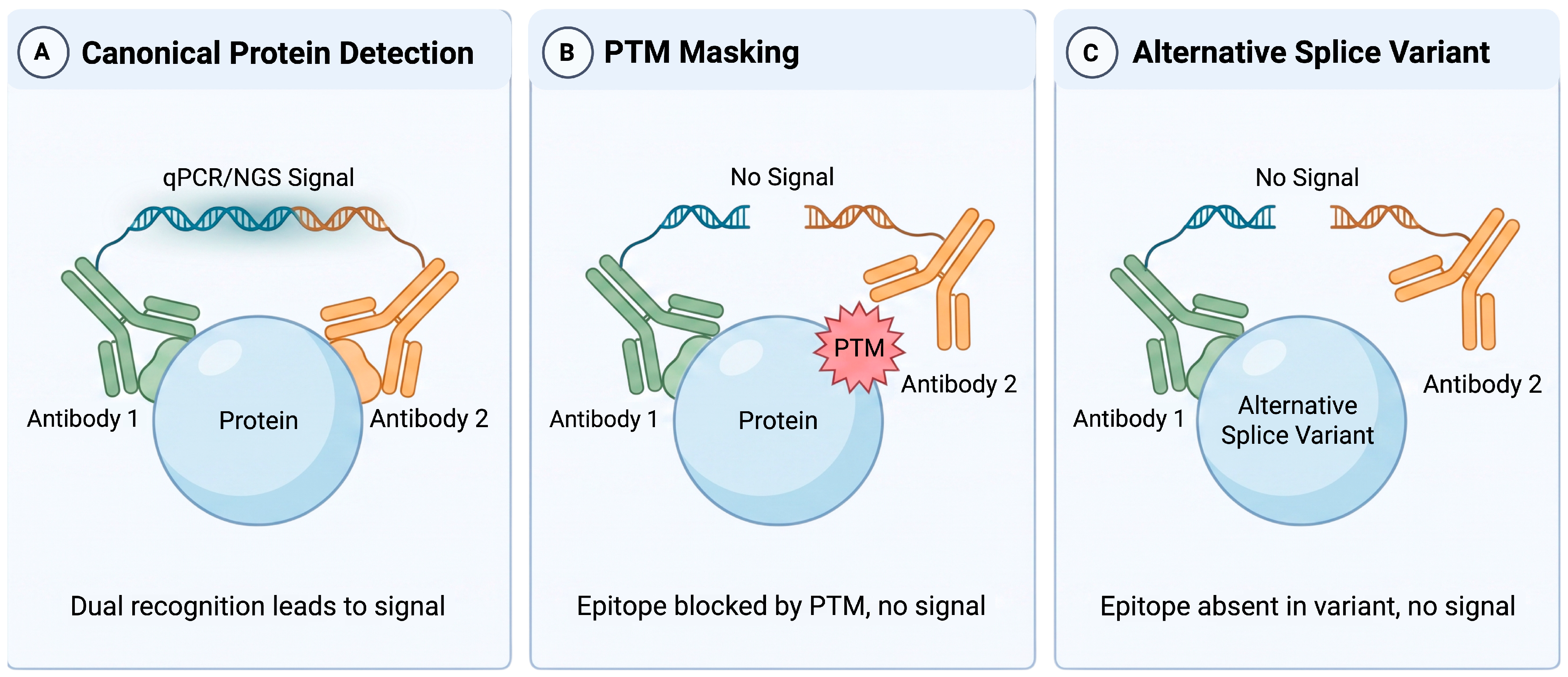 Proteomes 14 00051 g001 Proteomes 14 00051 g001