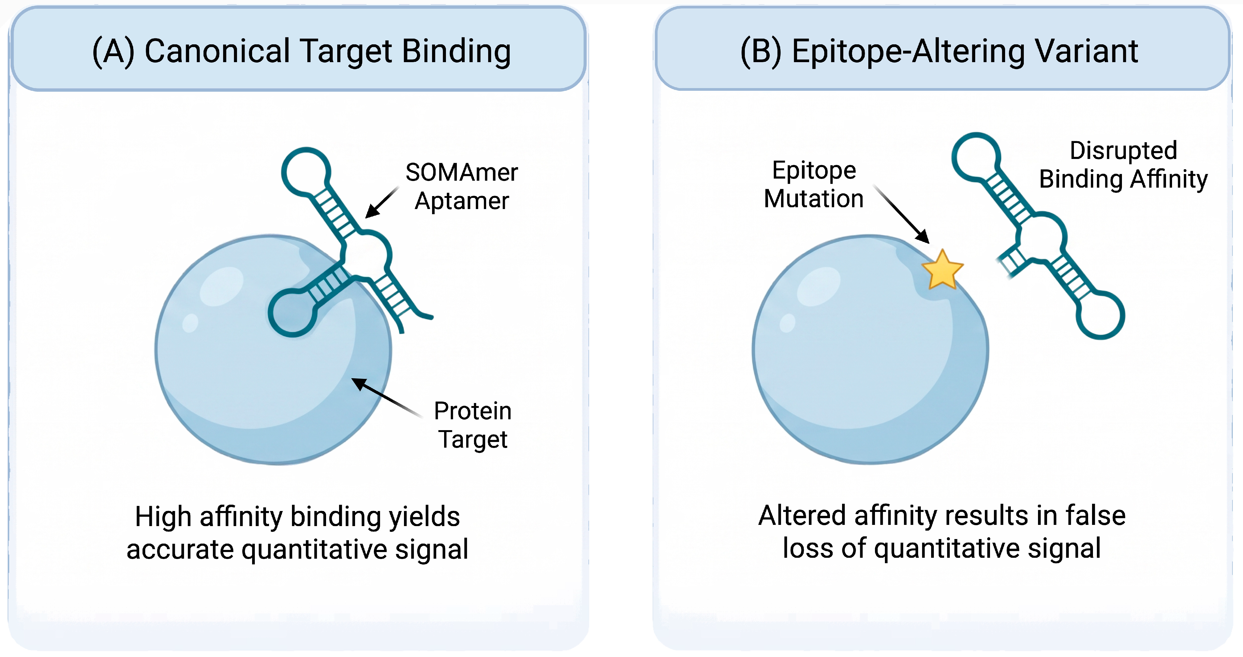 Proteomes 14 00051 g002 Proteomes 14 00051 g002
