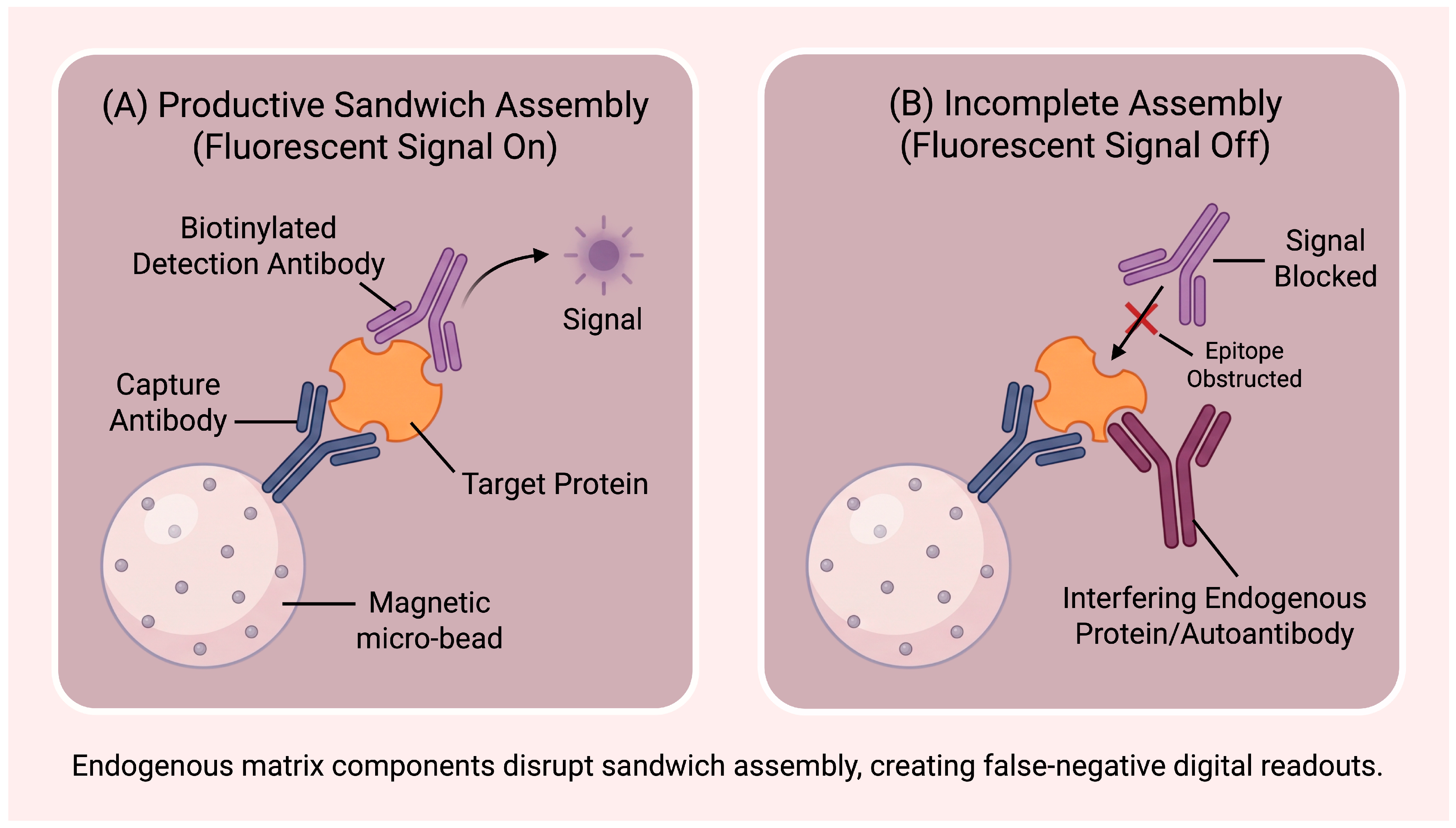 Proteomes 14 00051 g004 Proteomes 14 00051 g004