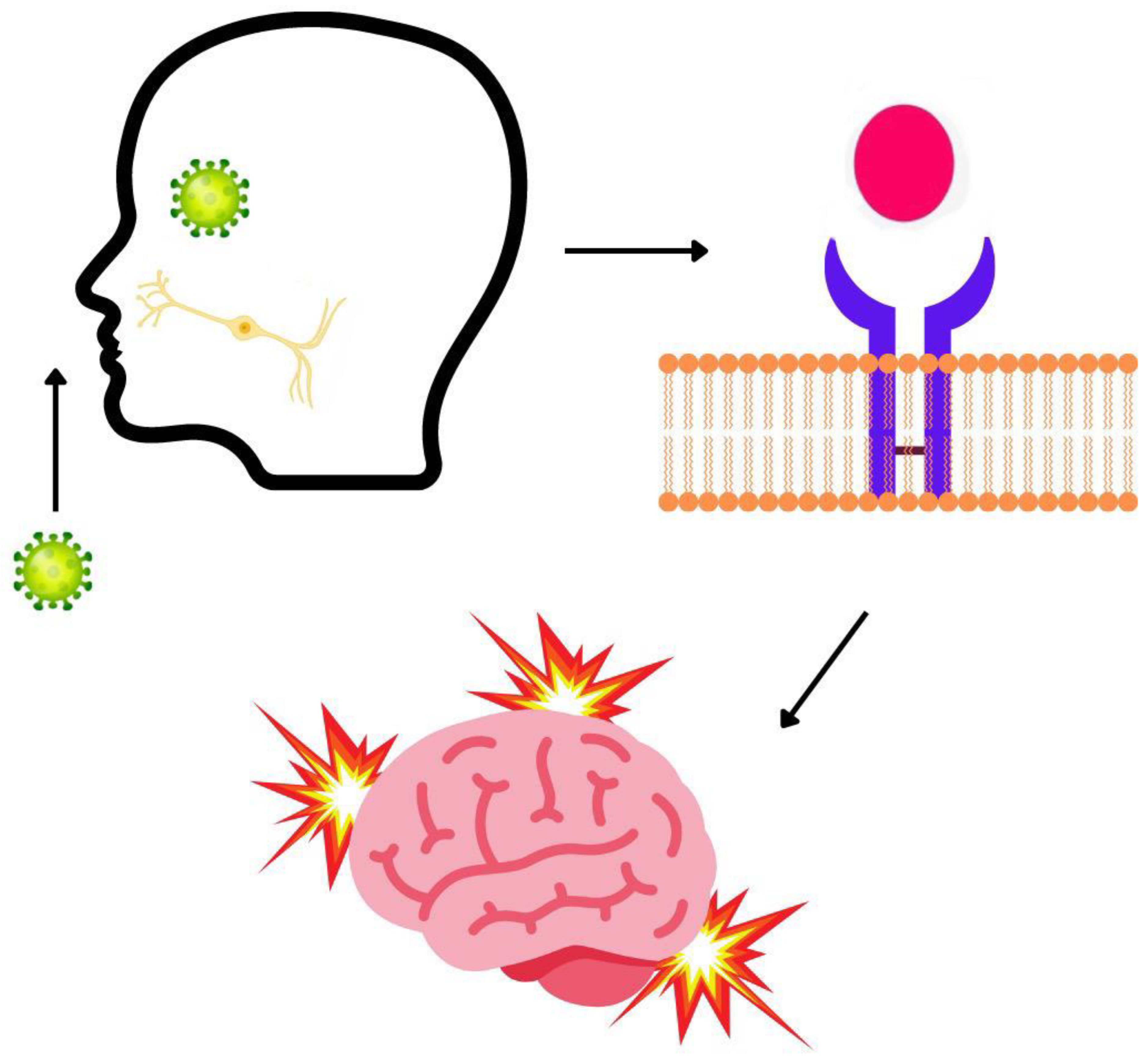 Psychiatryint 03 00013 g001