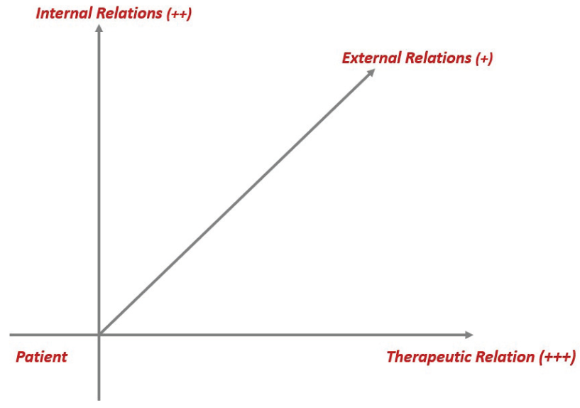 Psychiatryint 05 00054 g001