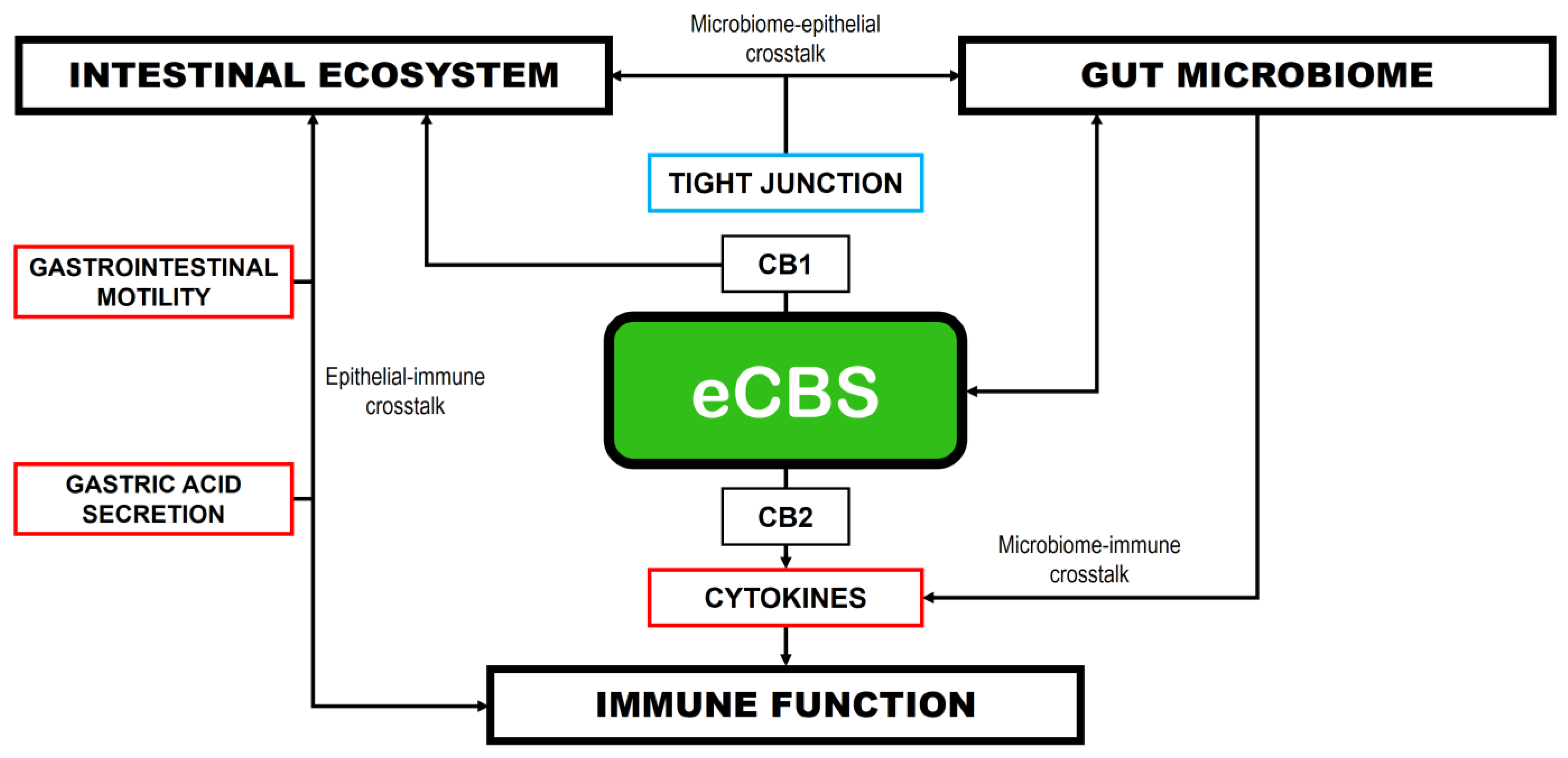Psychiatryint 06 00092 g001