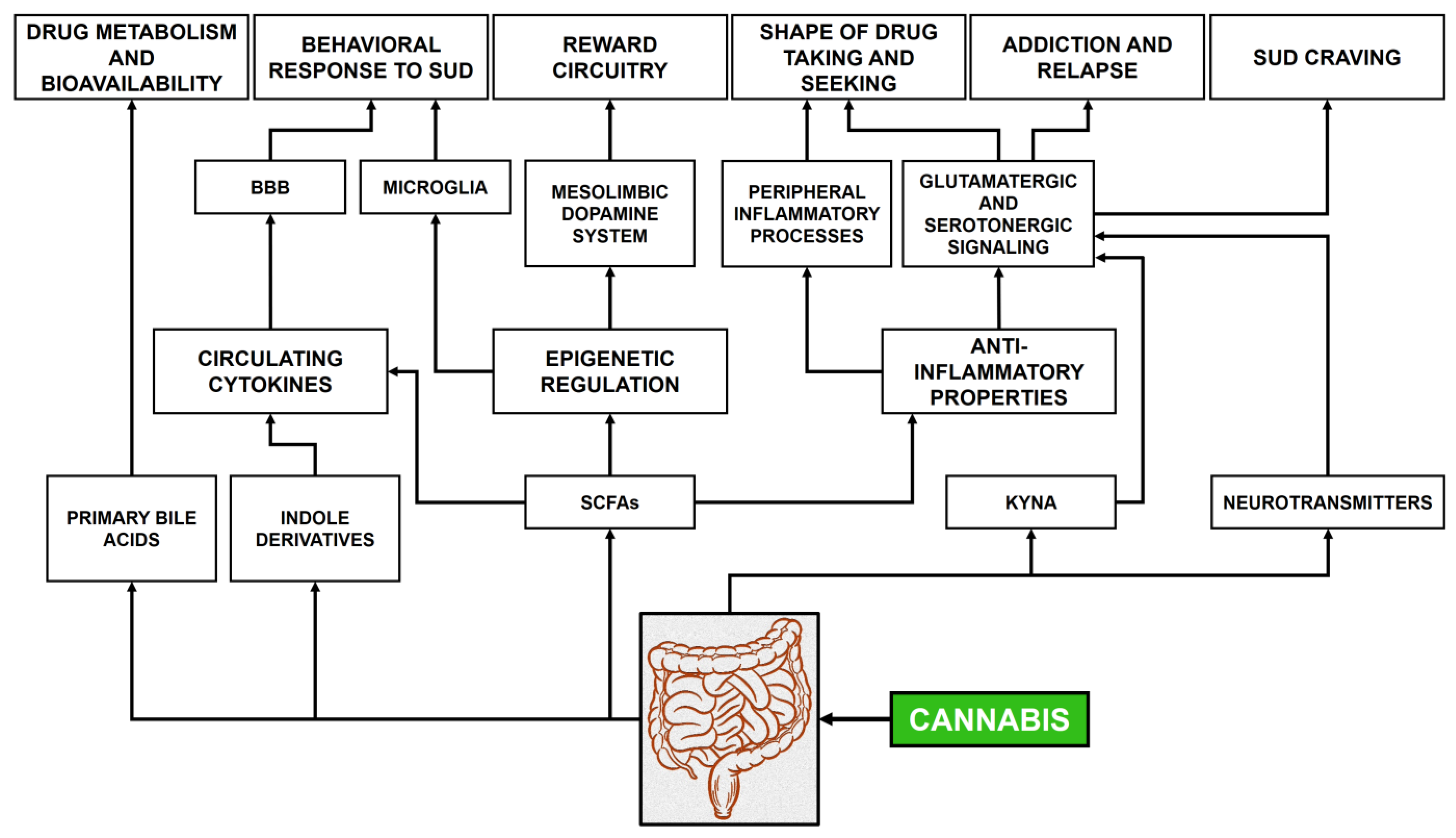 Psychiatryint 06 00092 g002