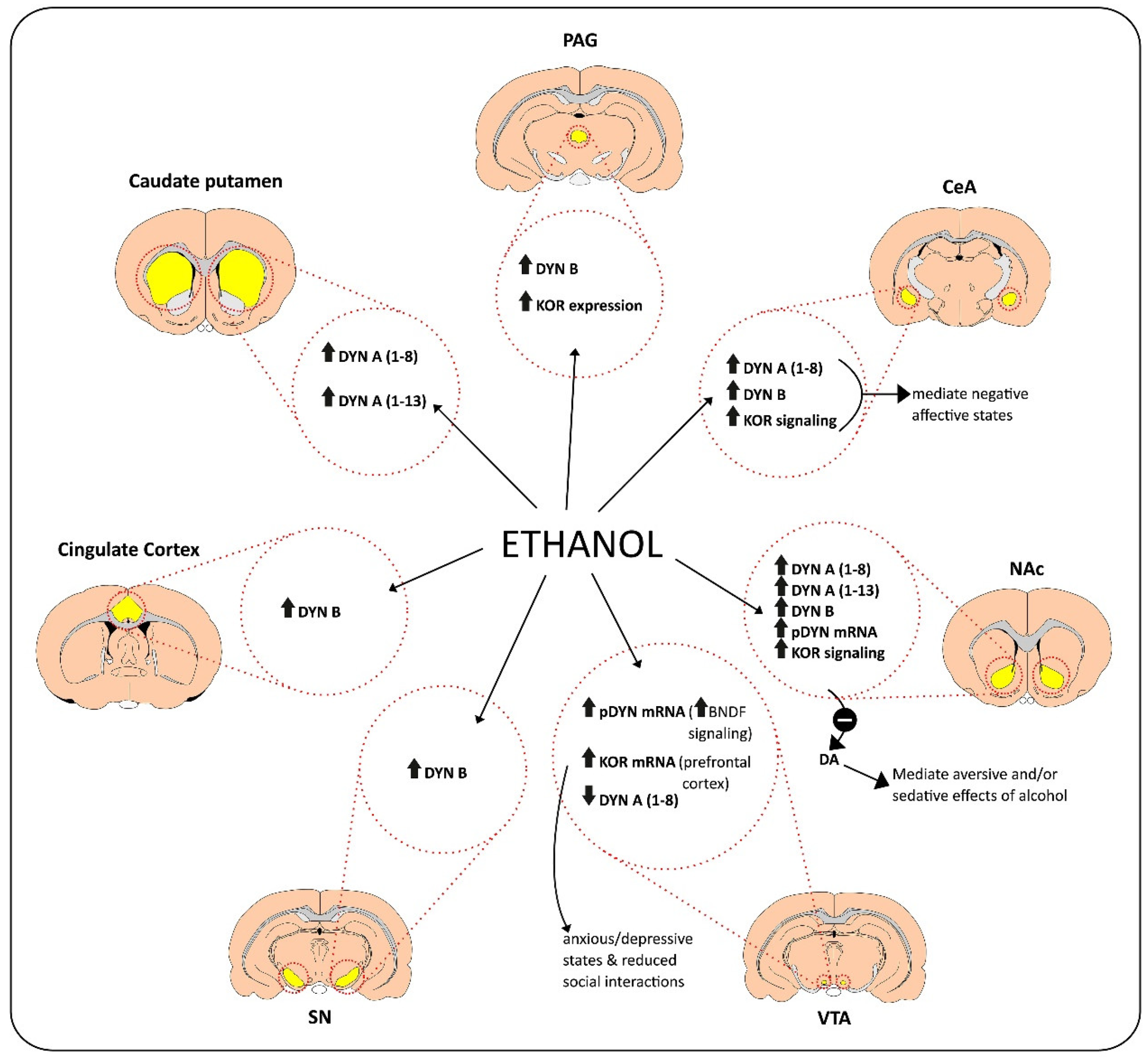 Psychoactives 01 00006 g001