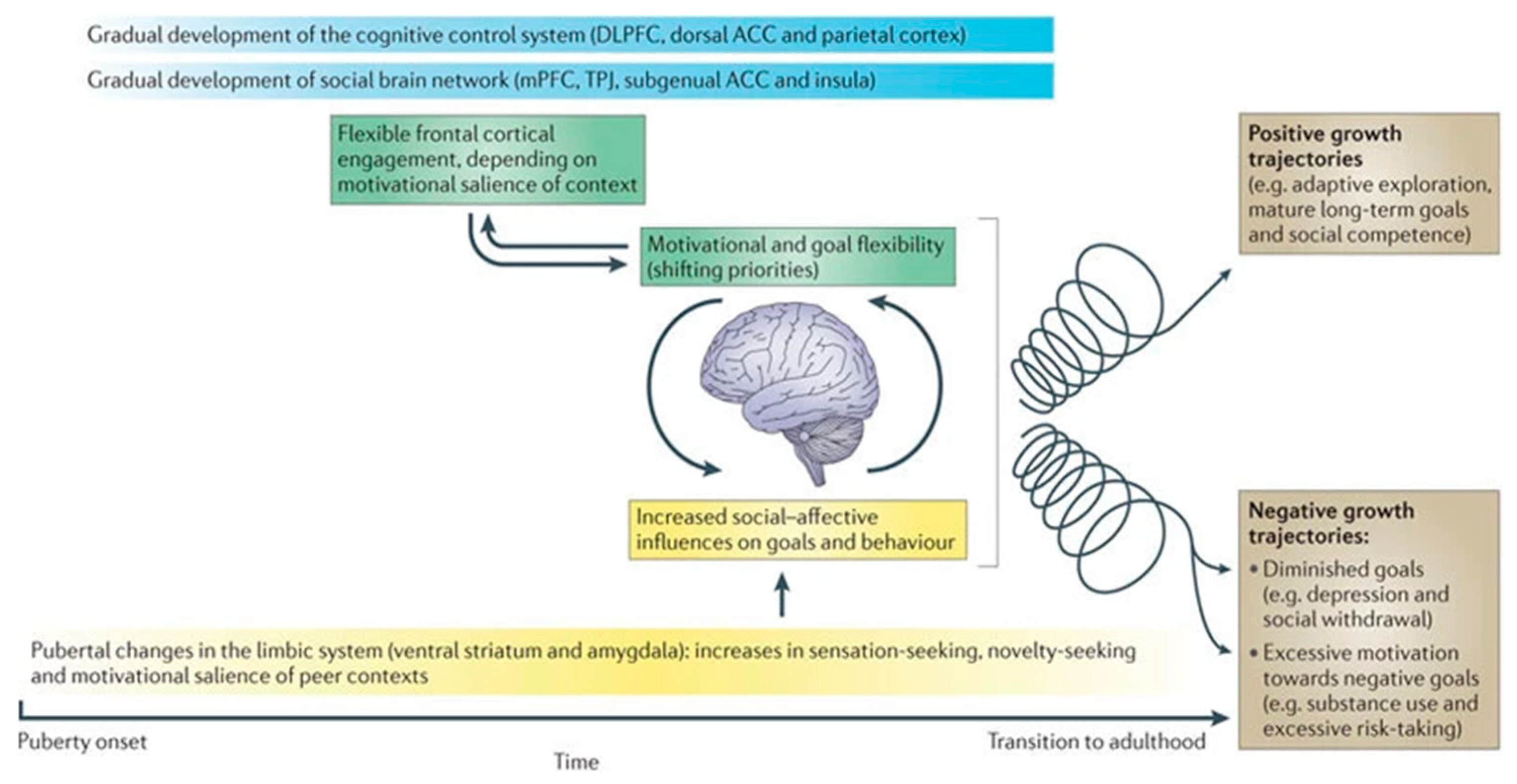 Psychoactives 02 00019 g001