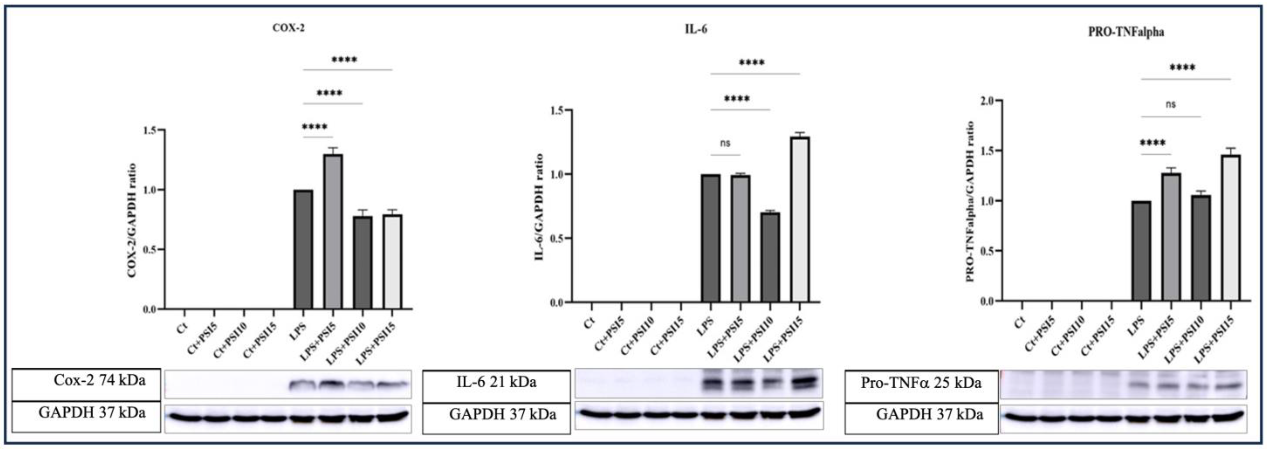 Psychoactives 03 00004 g002