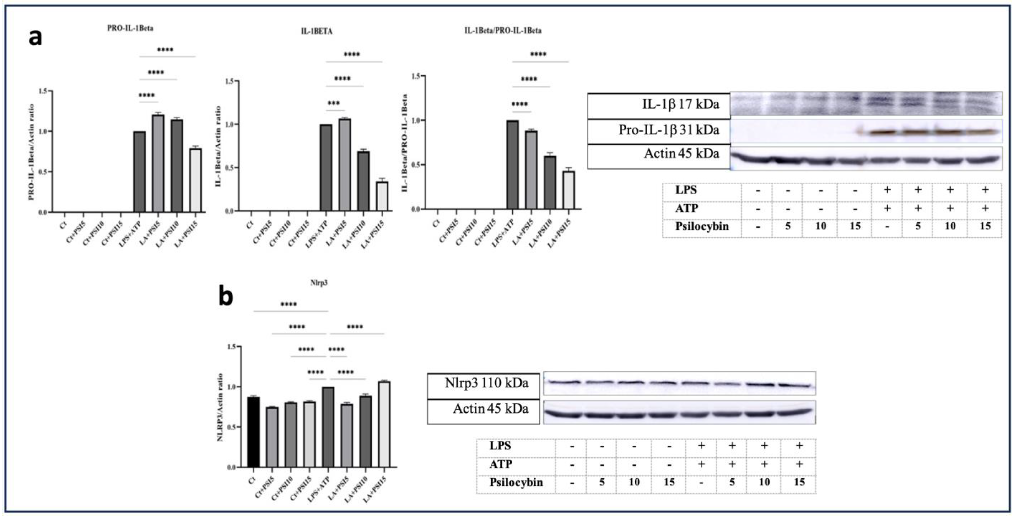 Psychoactives 03 00004 g003