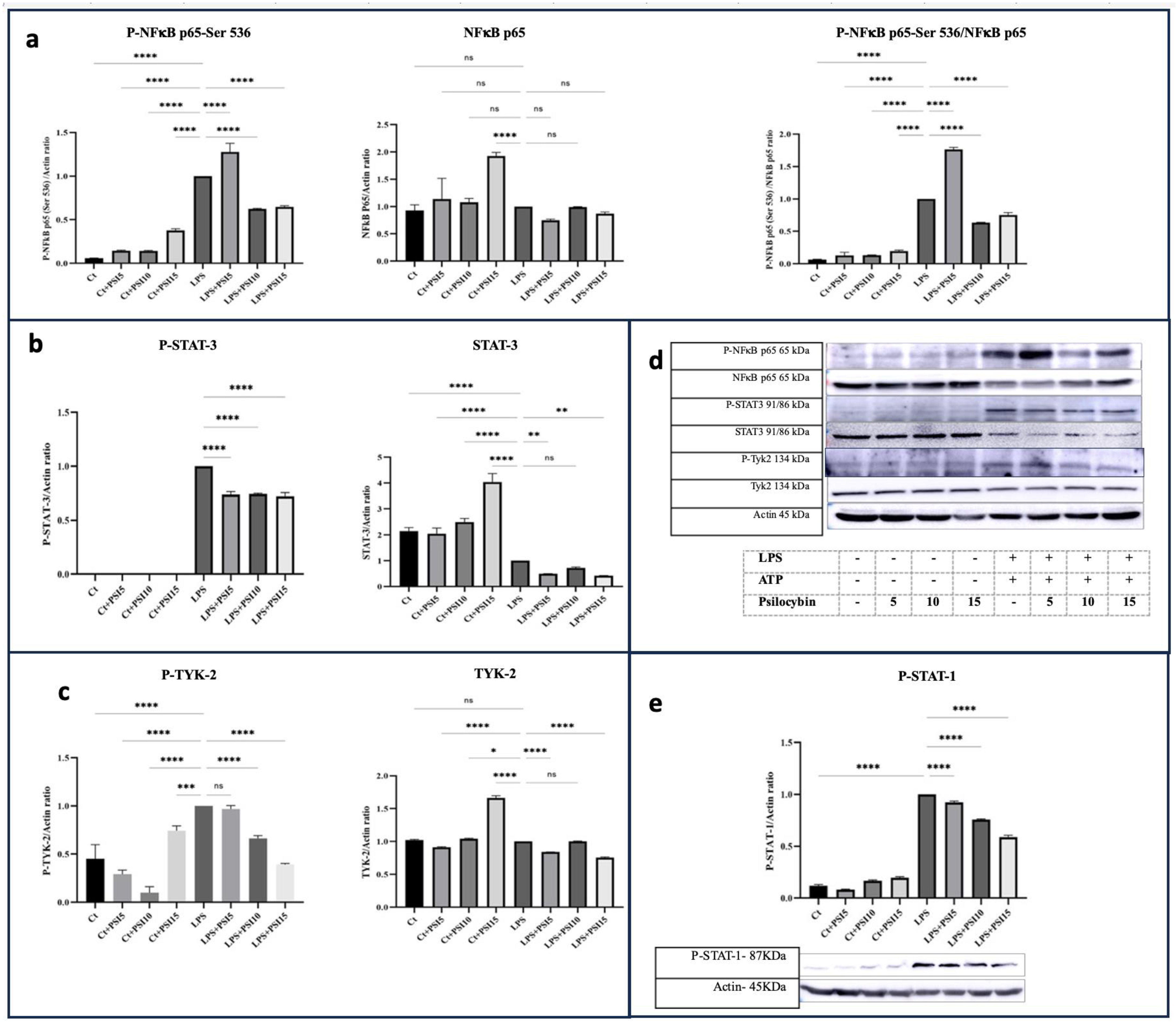 Psychoactives 03 00004 g004