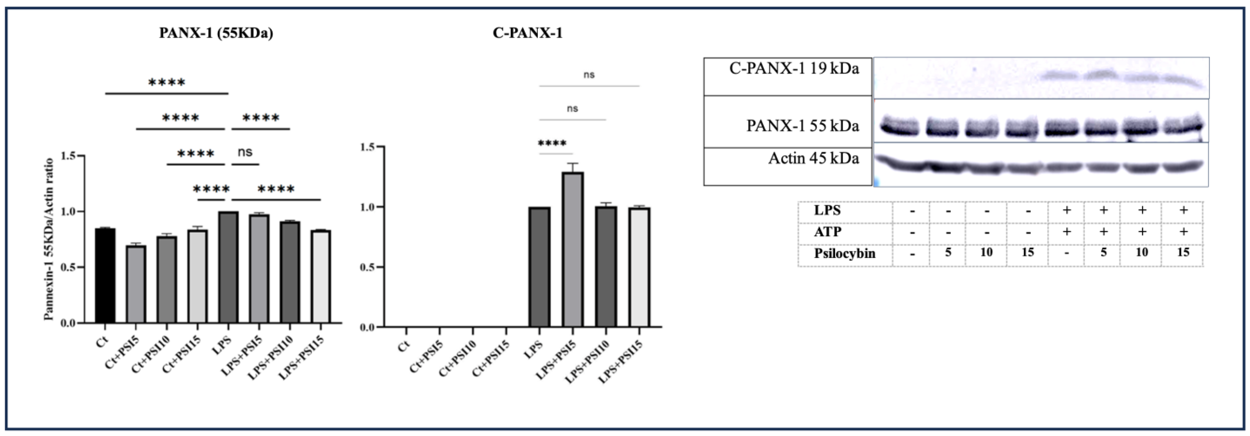 Psychoactives 03 00004 g005