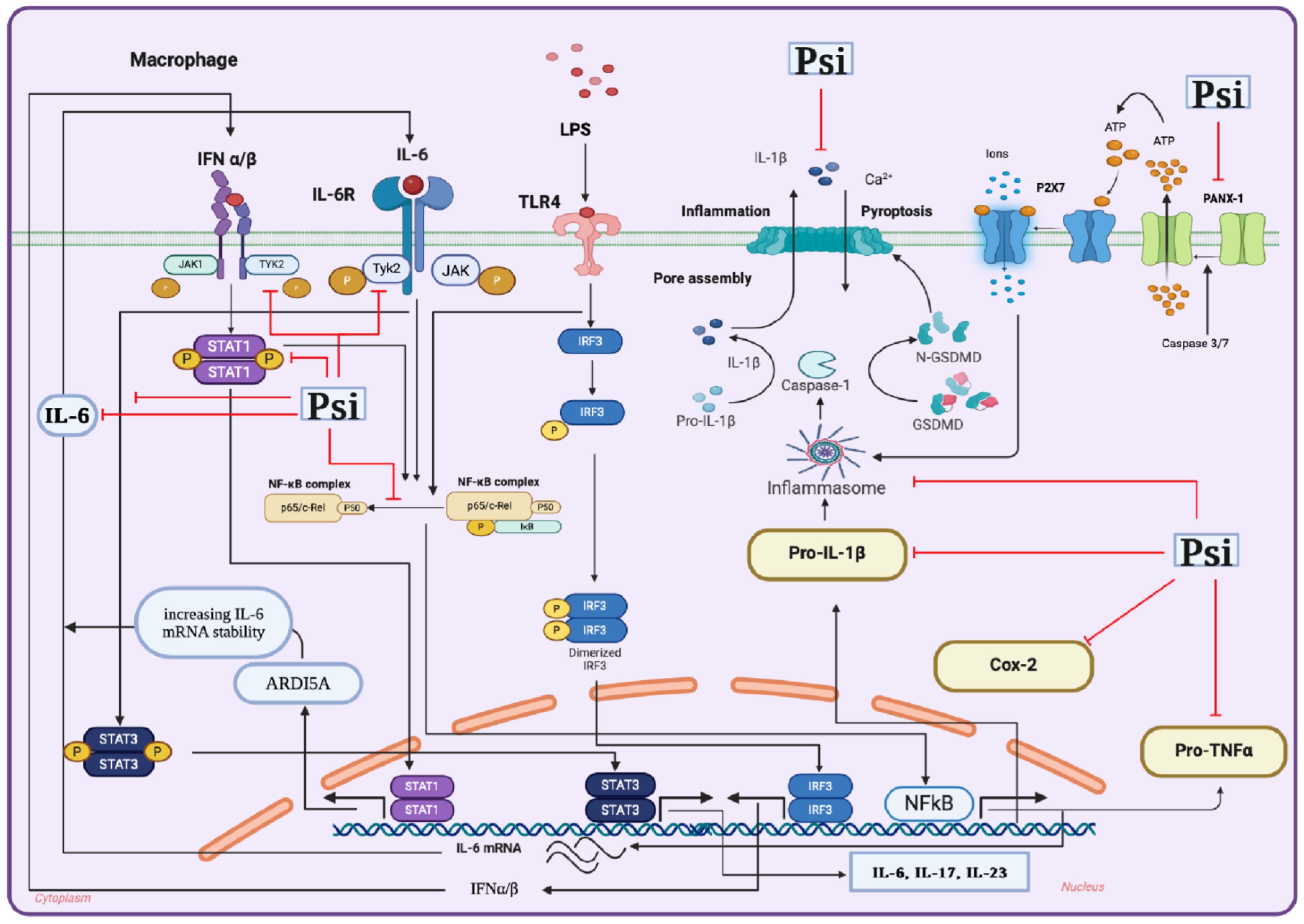 Psychoactives 03 00004 g009