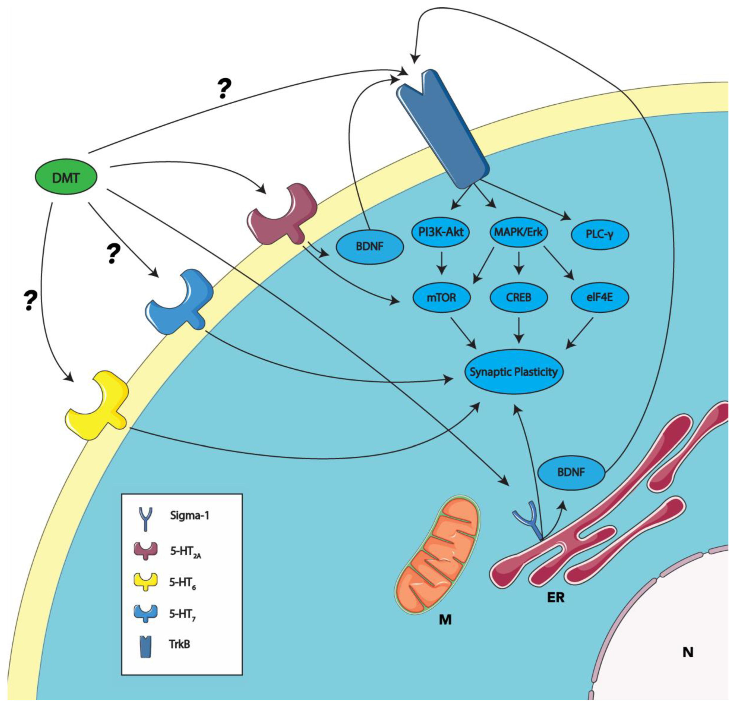 Psychoactives 03 00007 g001