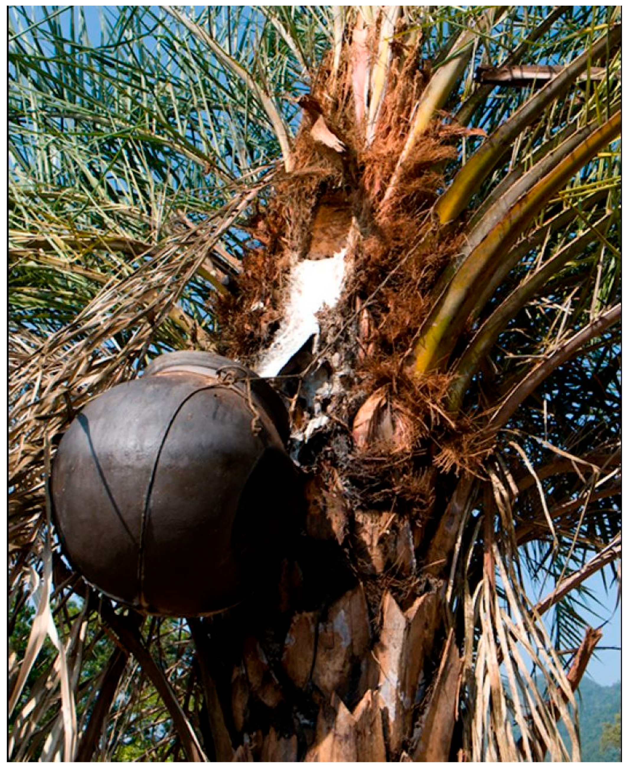 Psychoactives 04 00008 g001