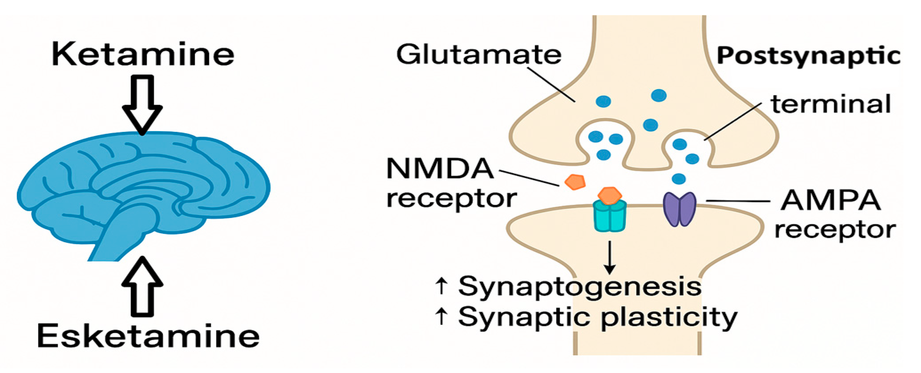 Psychoactives 04 00020 g002