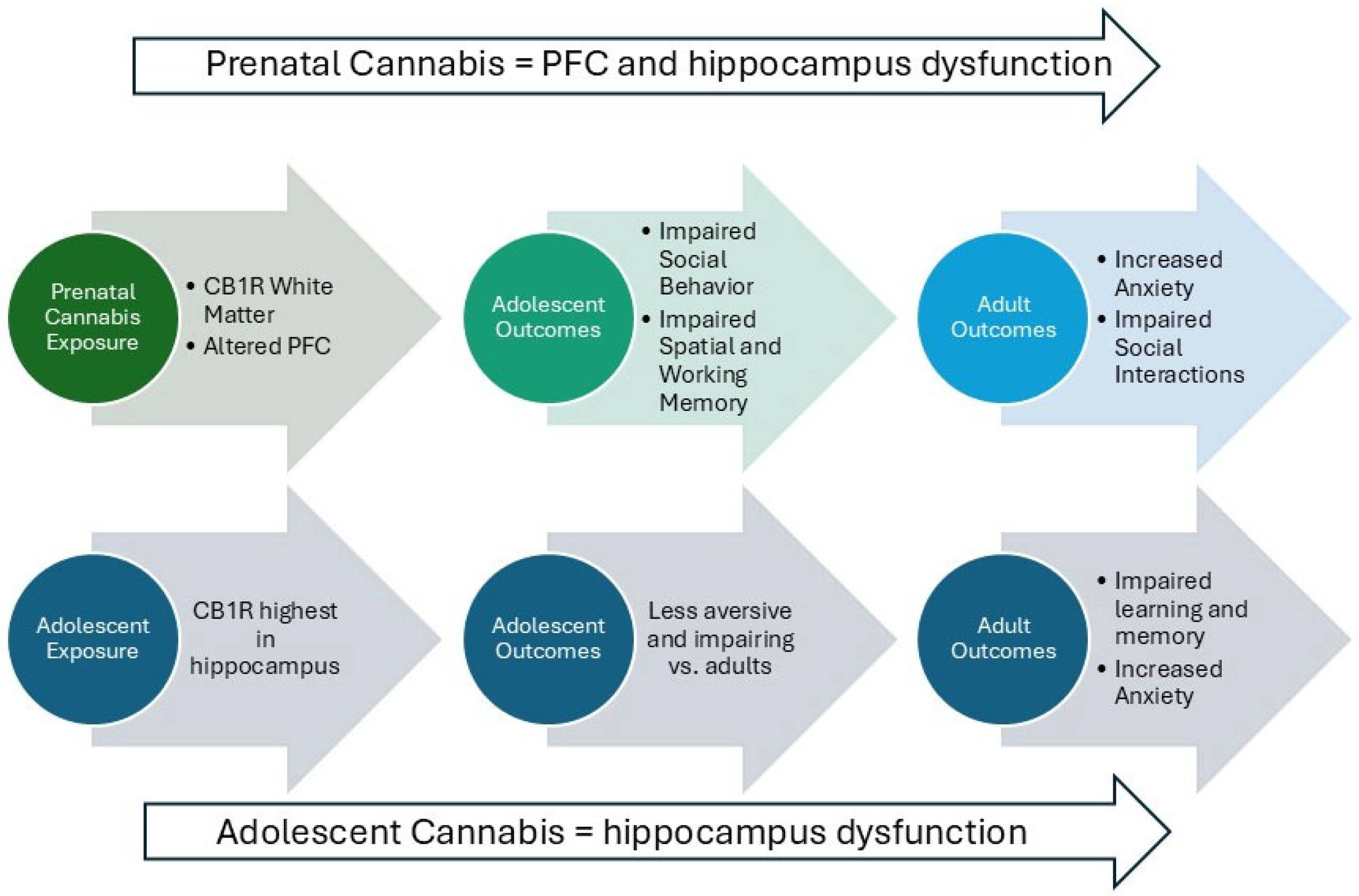 Psychoactives 04 00029 g001