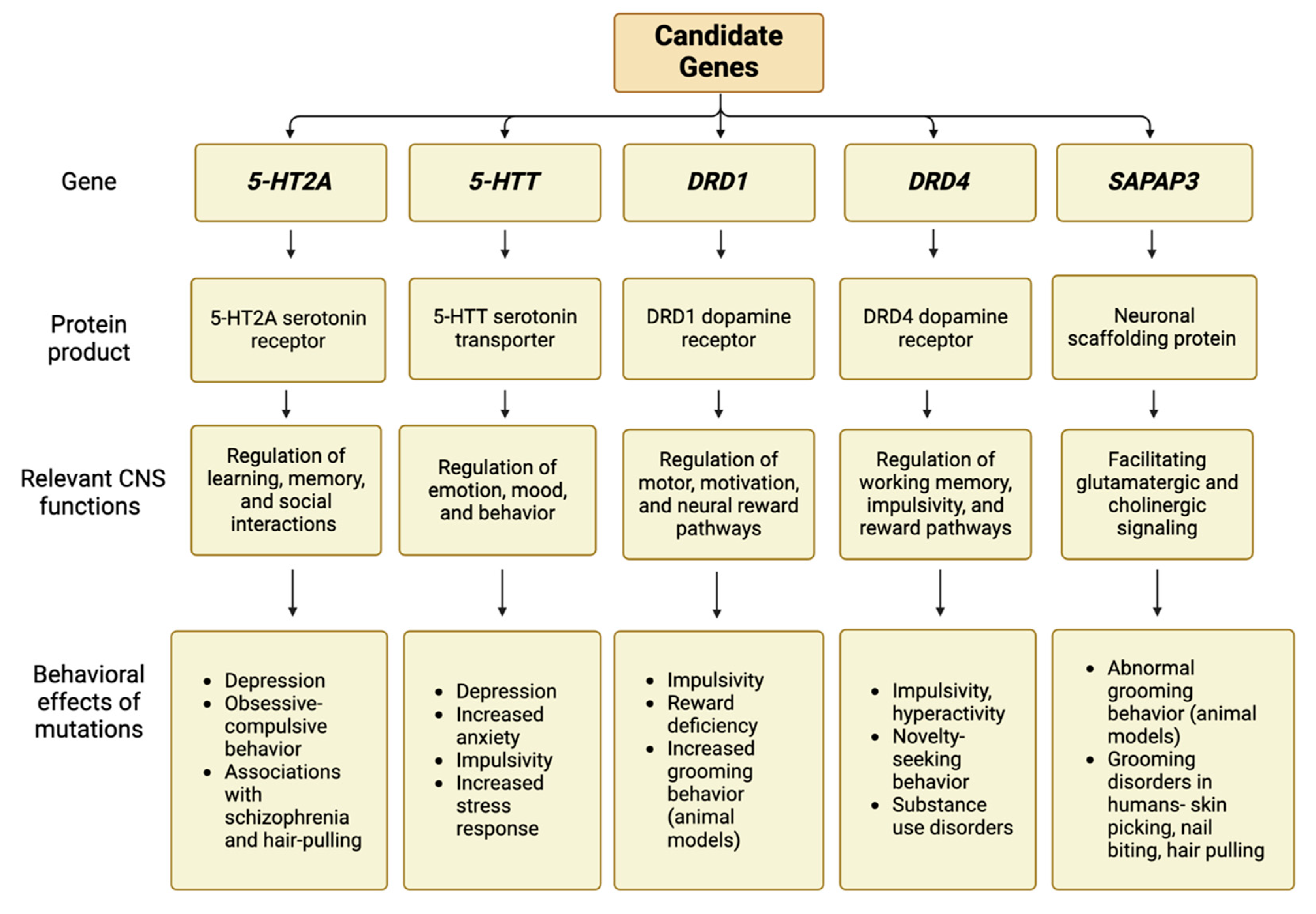 Psycholint 06 00031 g001