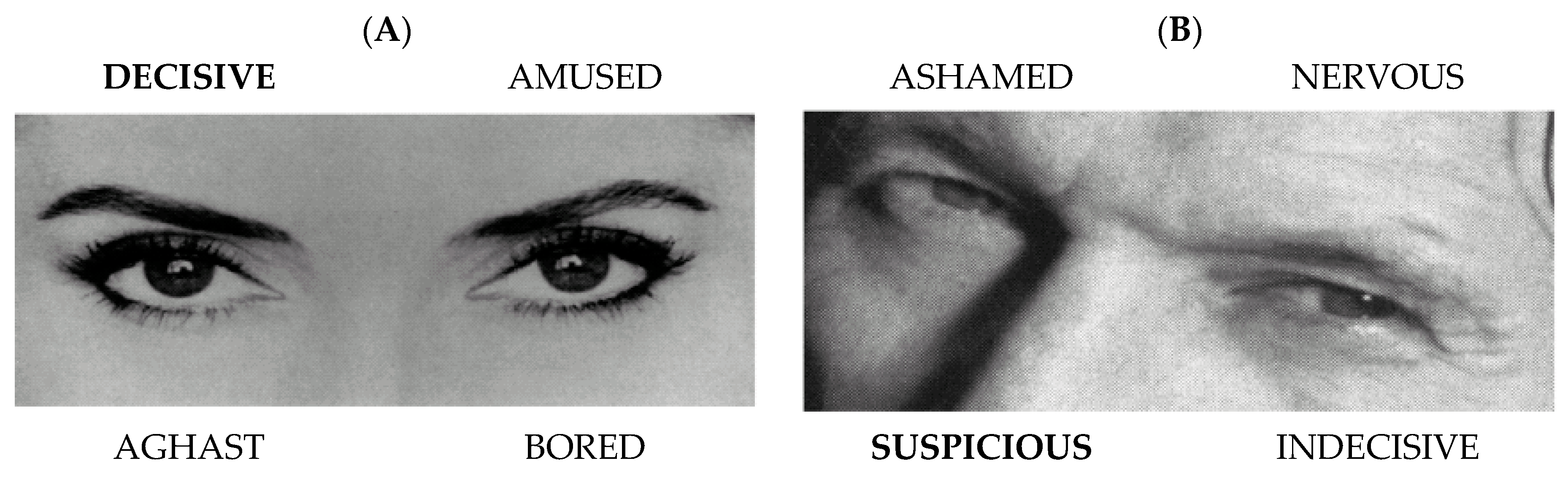 Psycholint 07 00041 g001