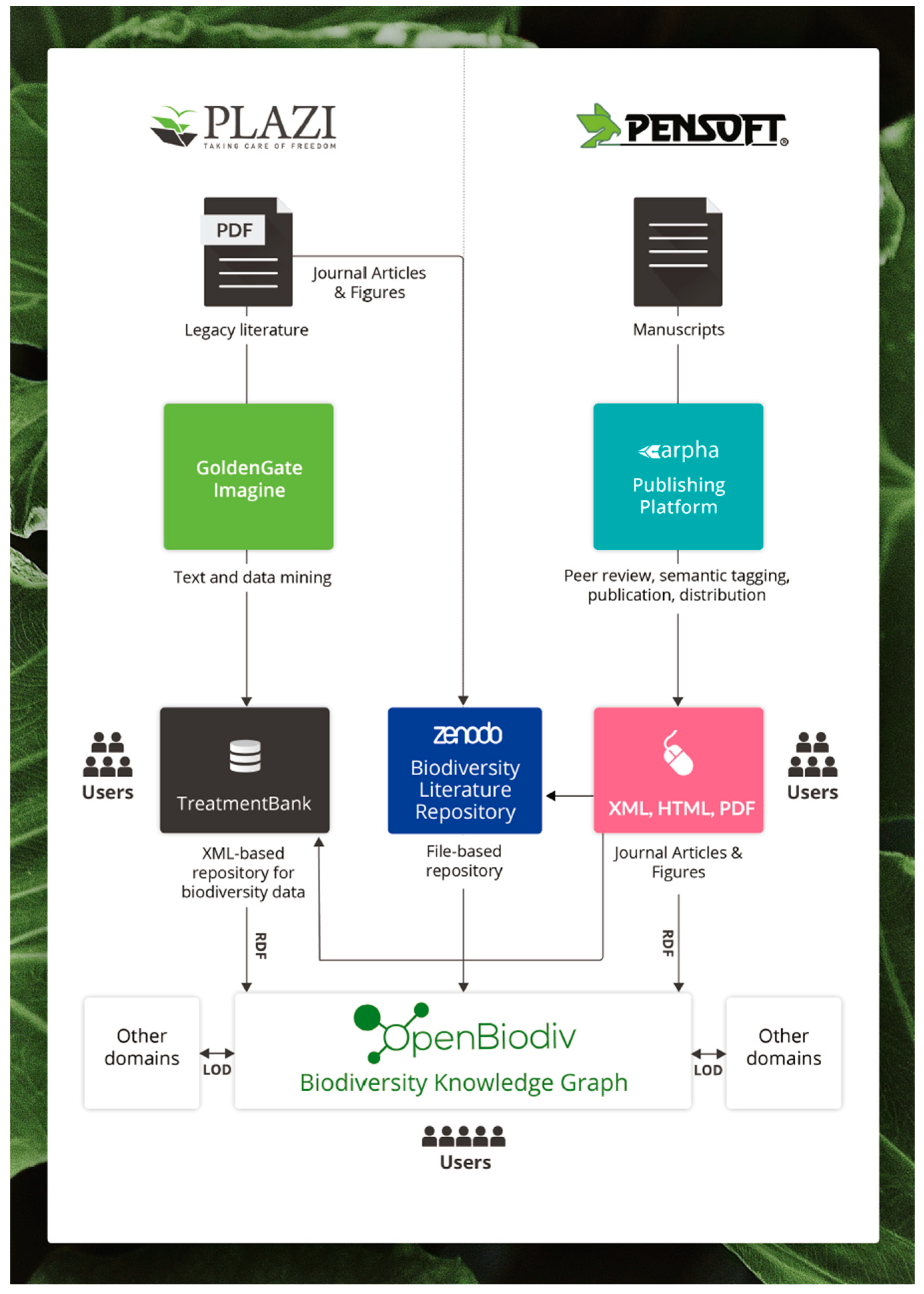 Publications 07 00038 g002