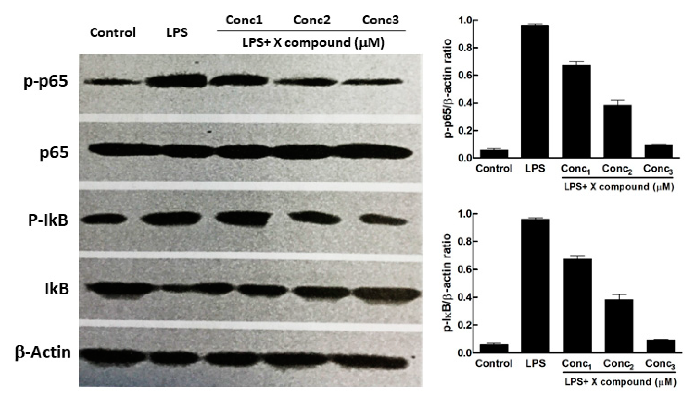 Publications 07 00067 g003